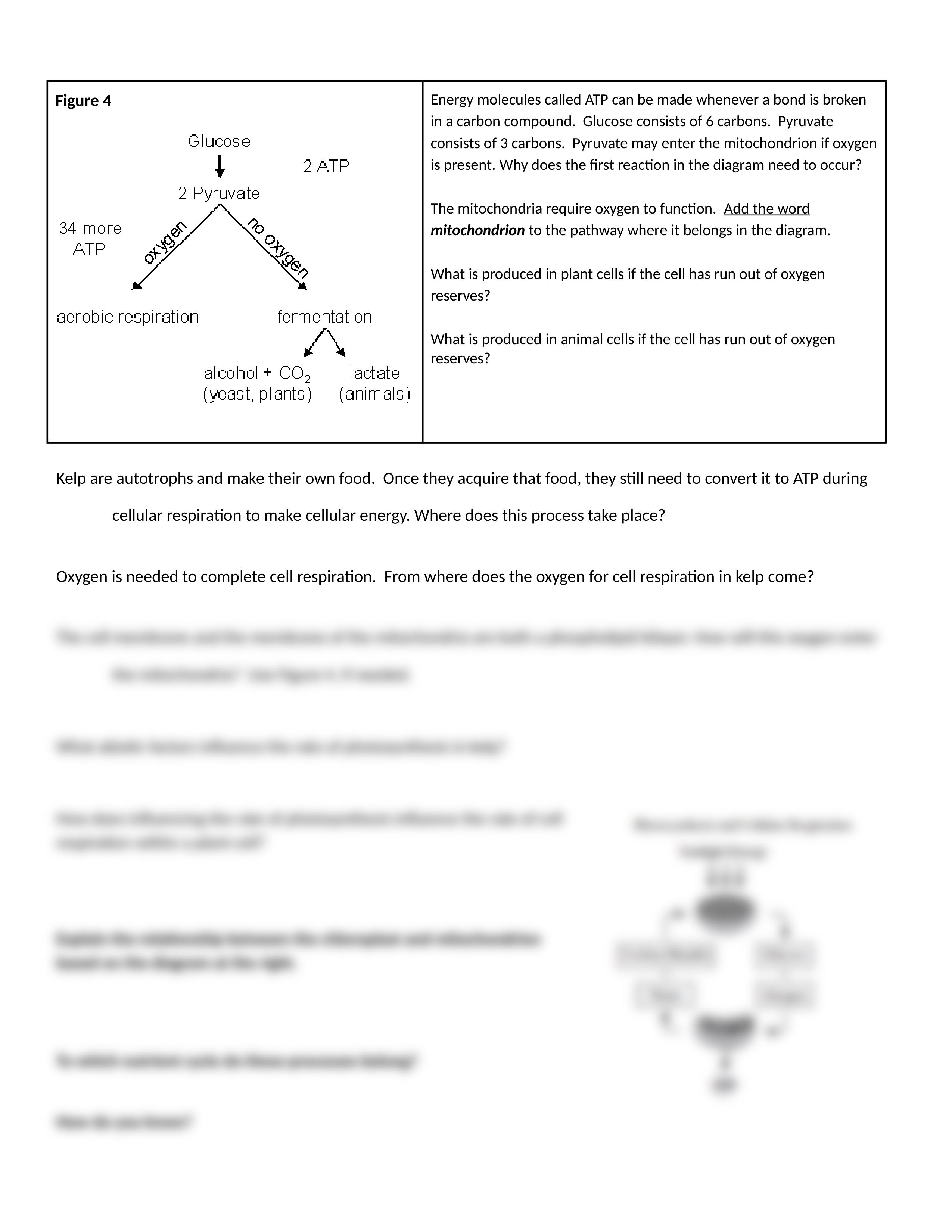 BIOL111_Lesson_19_-_Homeostasis_Cell_Respiration_in_Pacific_NW_Day_2_REMOTE_dtby1sy5mvg_page2