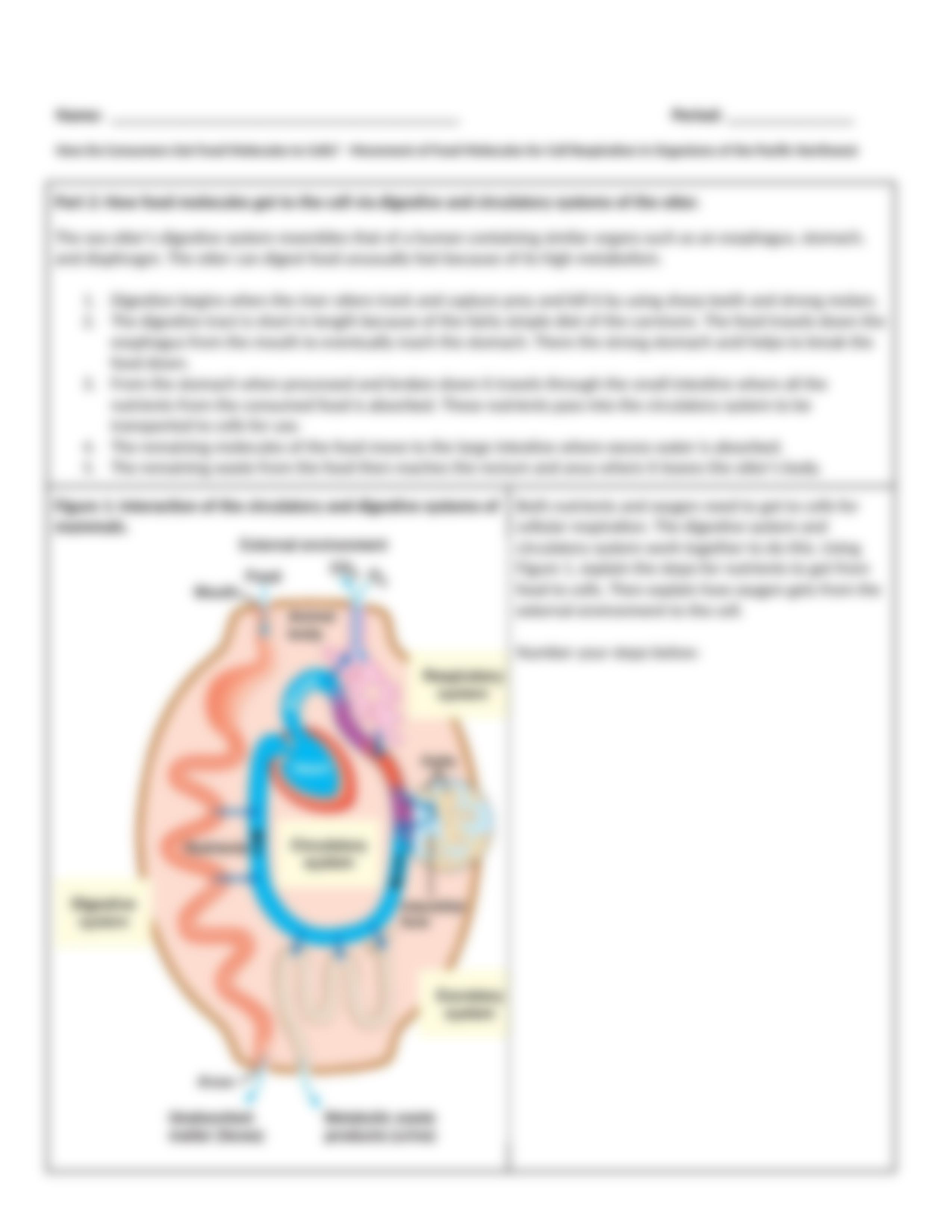 BIOL111_Lesson_19_-_Homeostasis_Cell_Respiration_in_Pacific_NW_Day_2_REMOTE_dtby1sy5mvg_page3