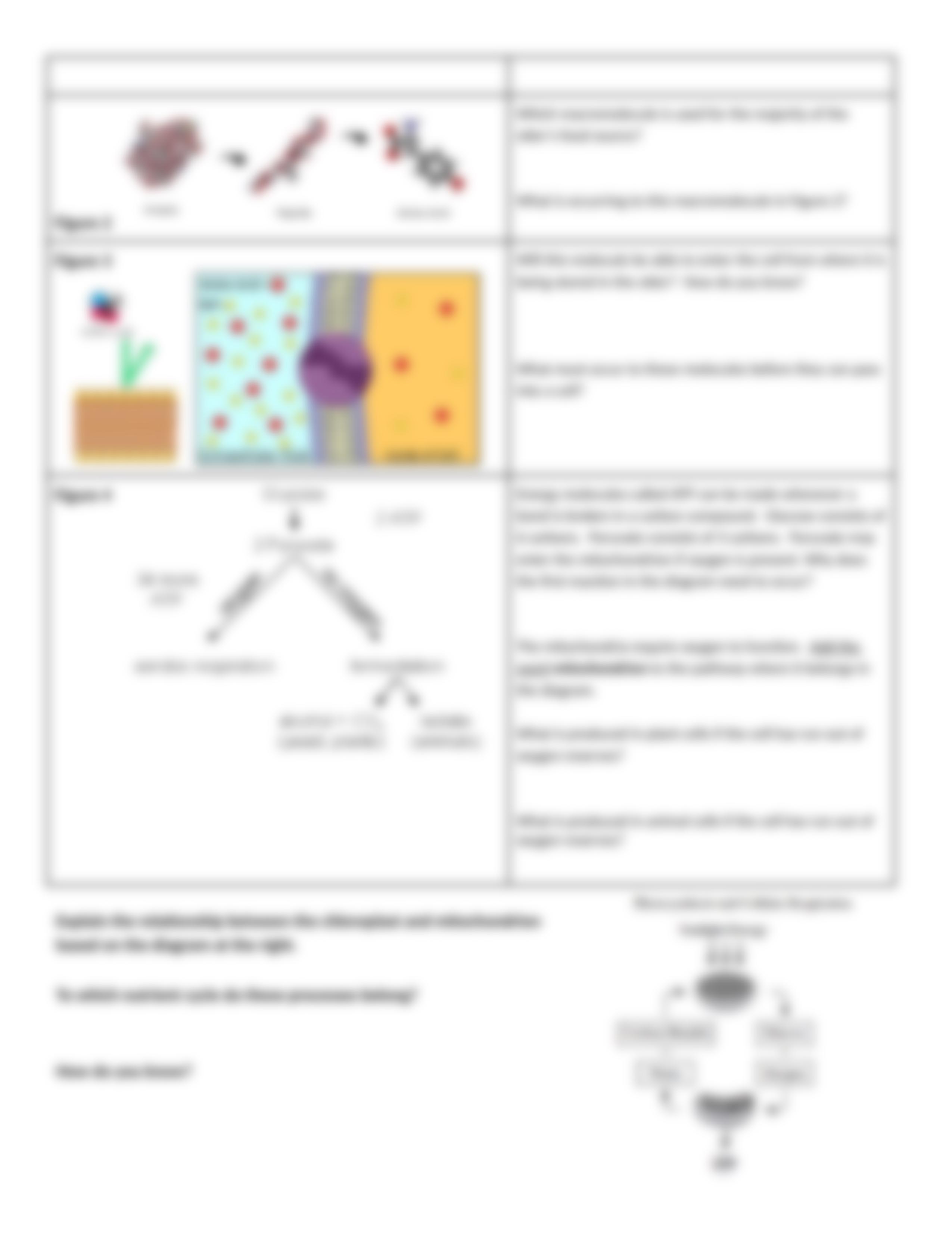 BIOL111_Lesson_19_-_Homeostasis_Cell_Respiration_in_Pacific_NW_Day_2_REMOTE_dtby1sy5mvg_page4