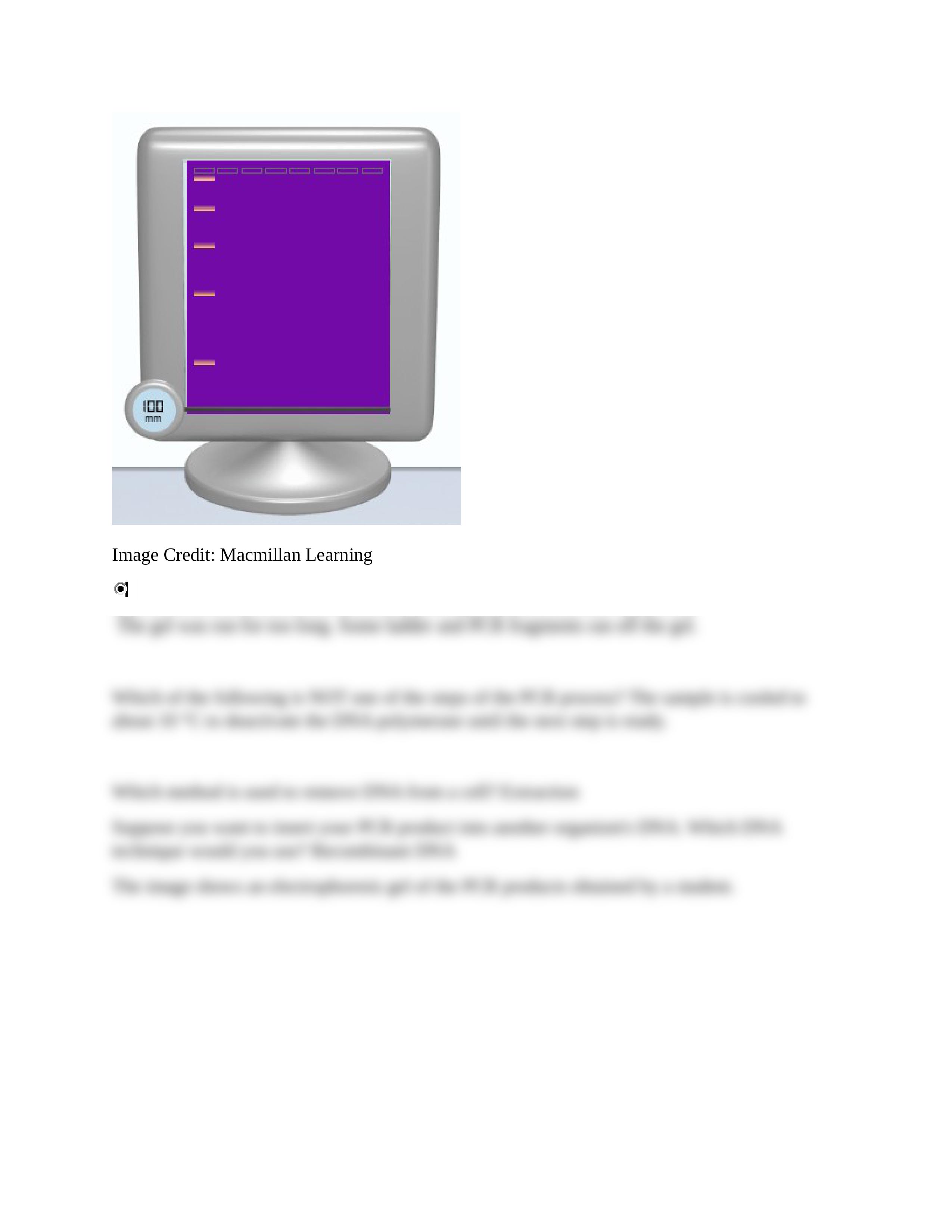 PCR LAB.docx_dtnn3w8lk8e_page2