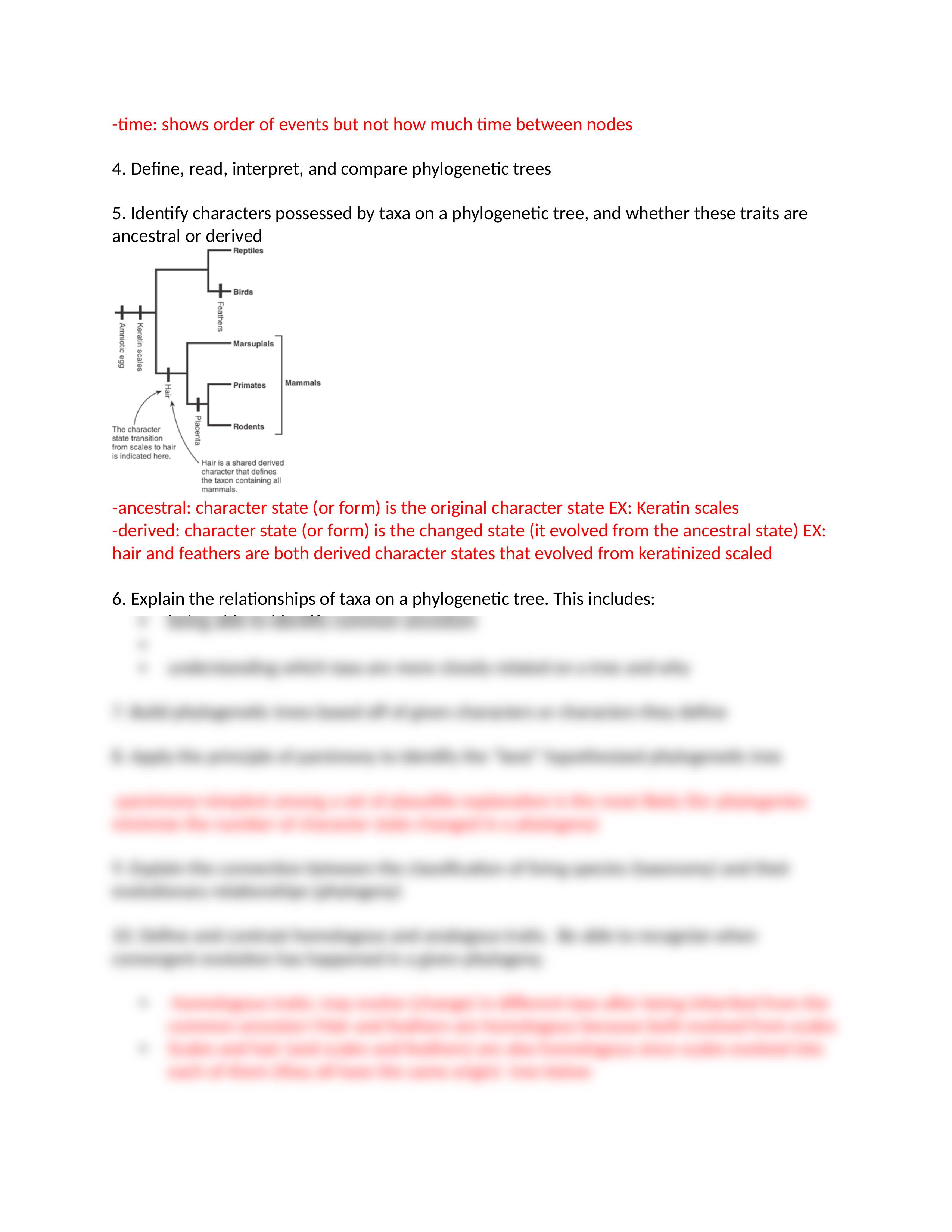 Study Guide for Checkpoint I Online Quiz Sp21.docx_dtnuzqxn1pu_page2