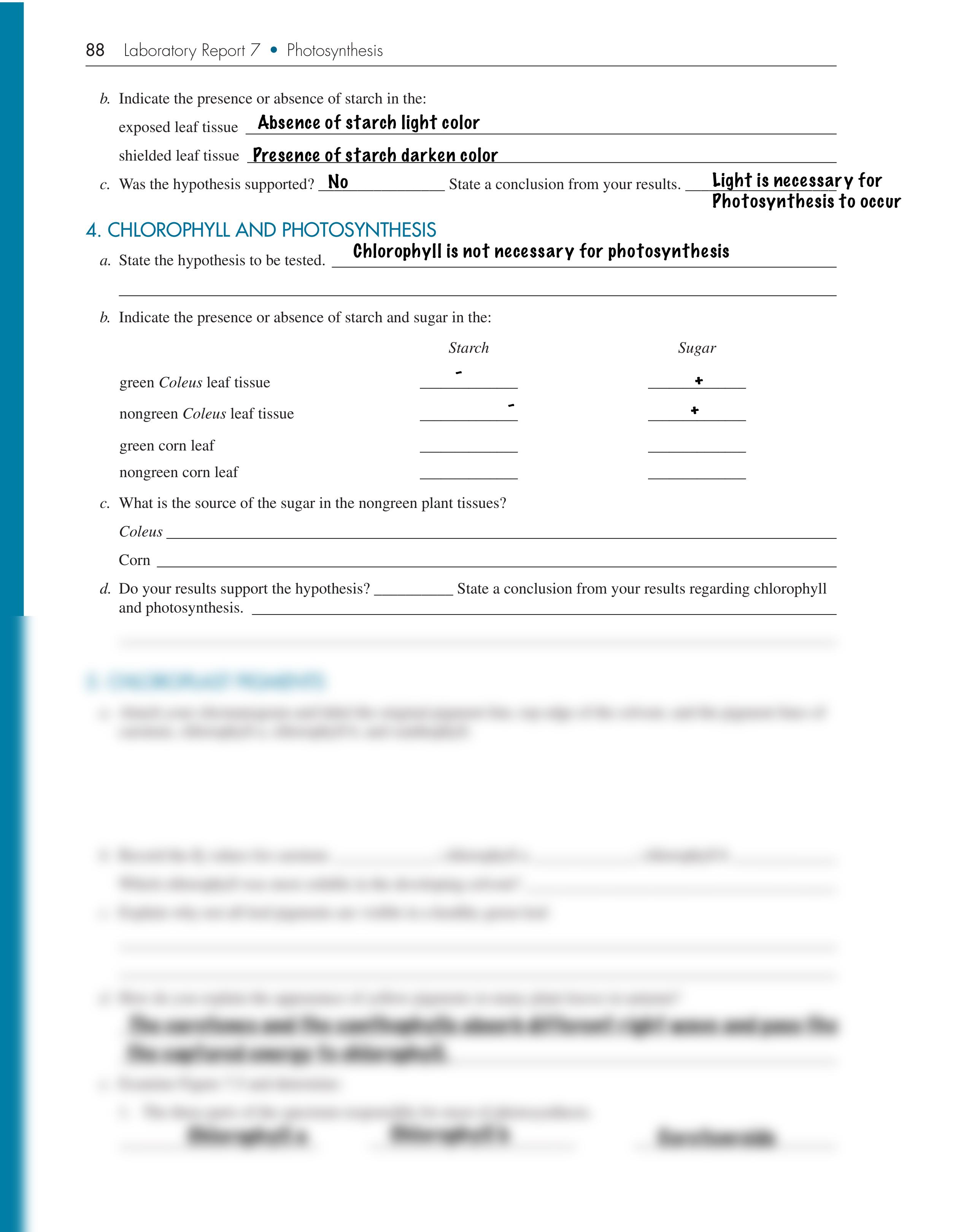 Lab 7_dtrc6p838om_page2