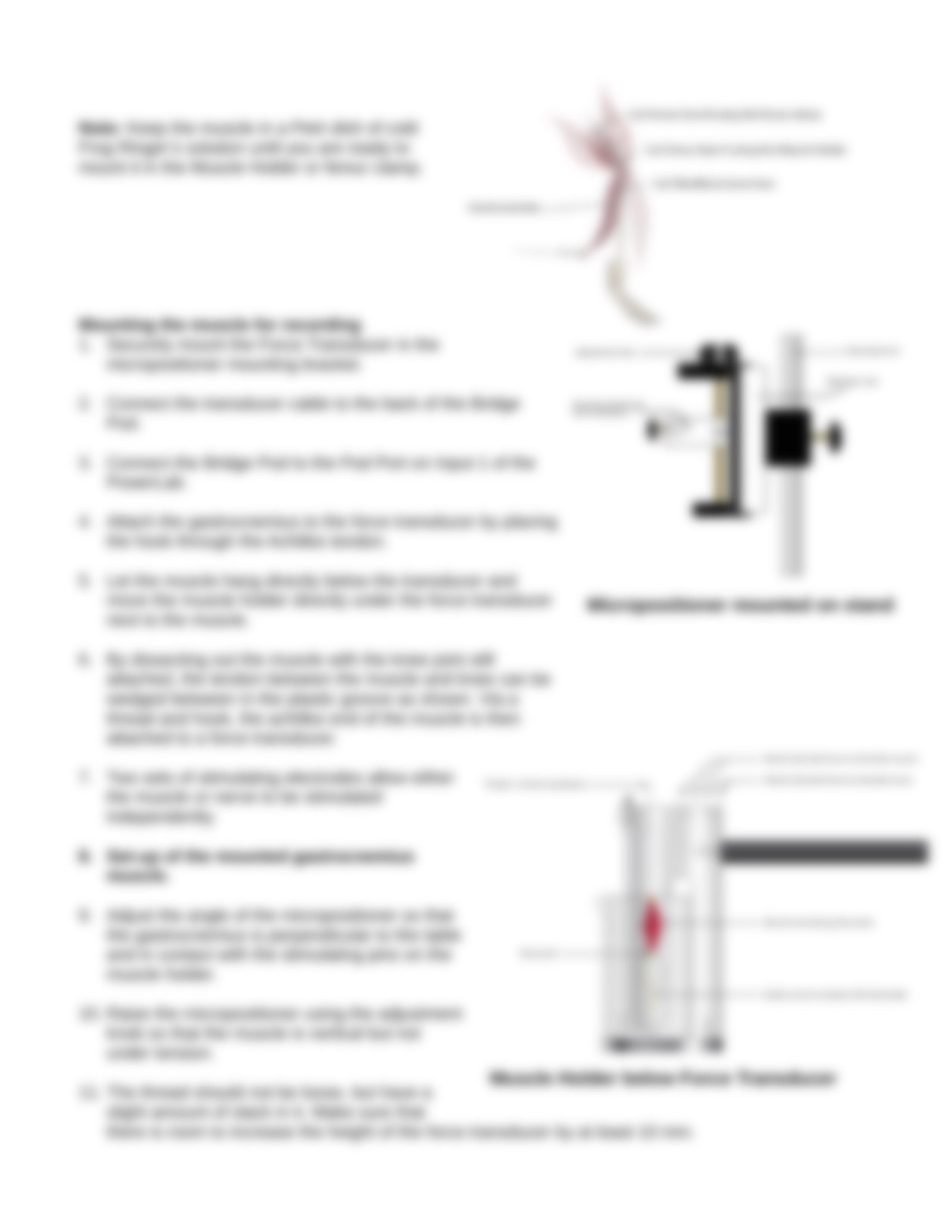 Lab 5 - Skeletal Muscle - Frog Sciatic Nerve and Muscle_dtv1r271kw8_page5