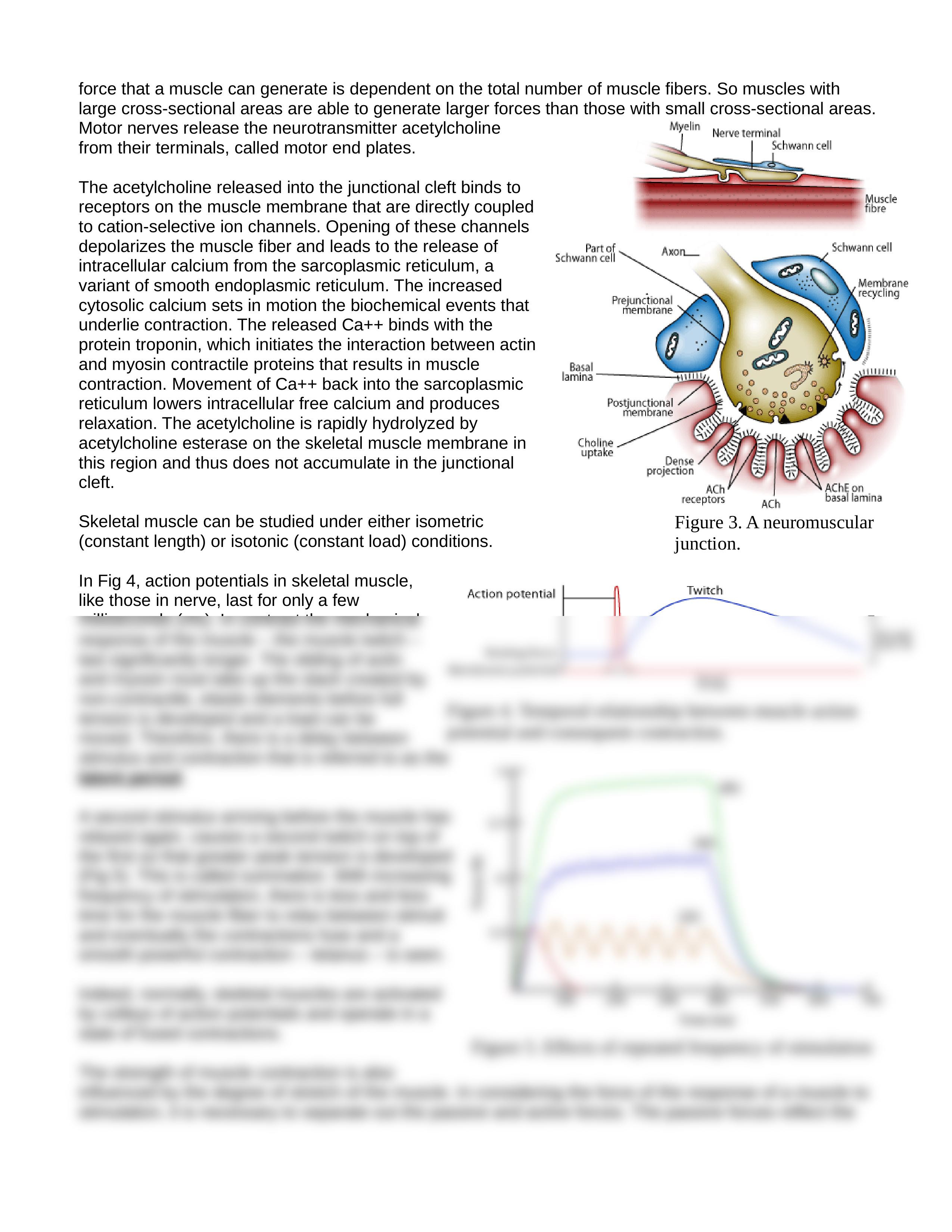 Lab 5 - Skeletal Muscle - Frog Sciatic Nerve and Muscle_dtv1r271kw8_page2