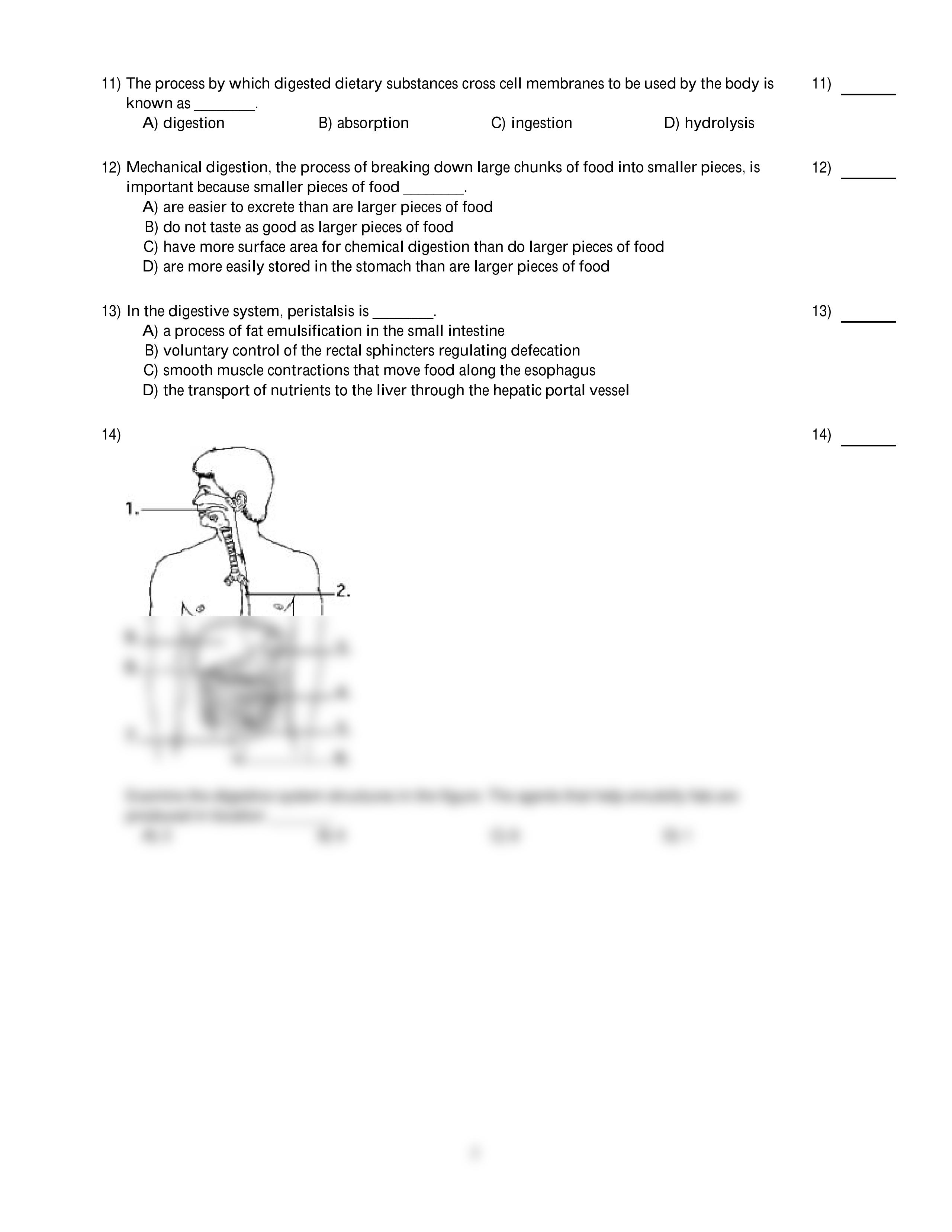 140 Exam3.pdf_dtzrm53uapn_page2