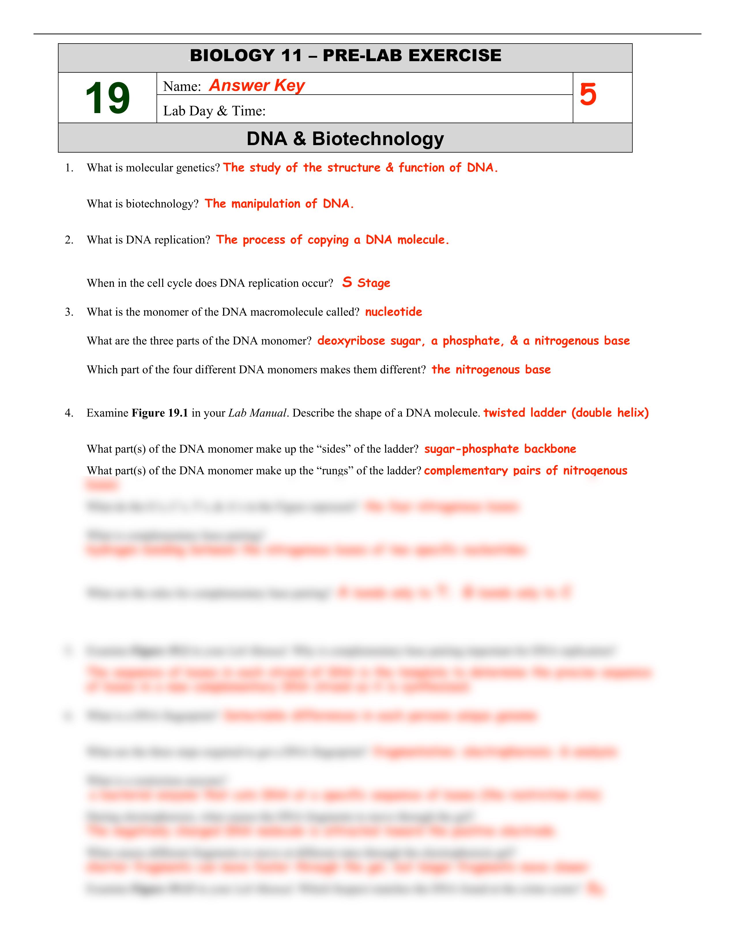 PreLab19R_du7jtvk696j_page1