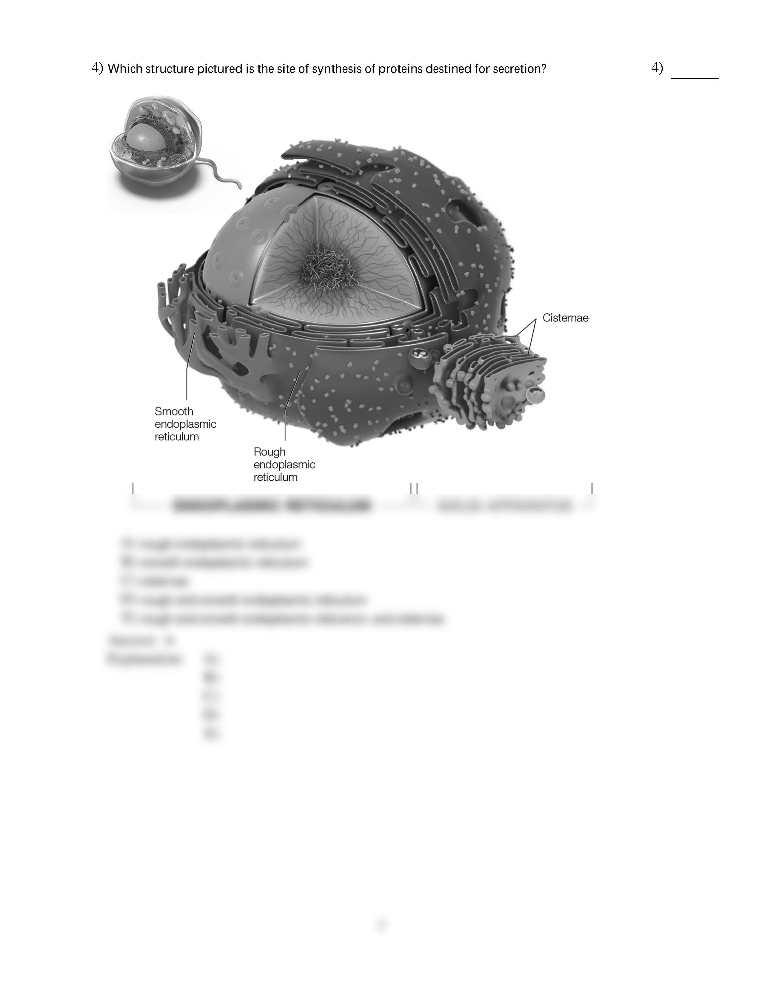 c4.pdf_duc3fuqji0g_page2