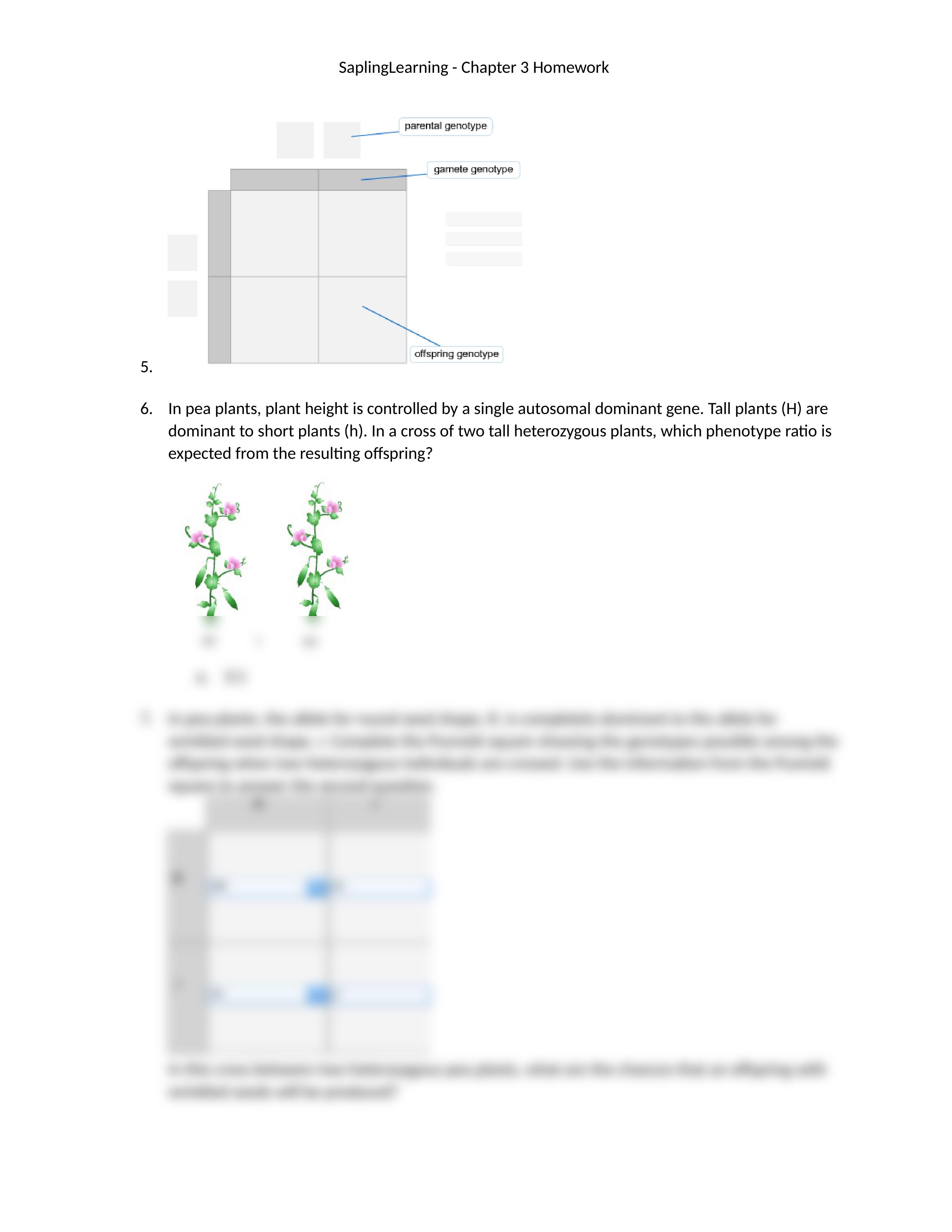 SaplingLearning Chapter 3_dujkkgqvrxf_page2