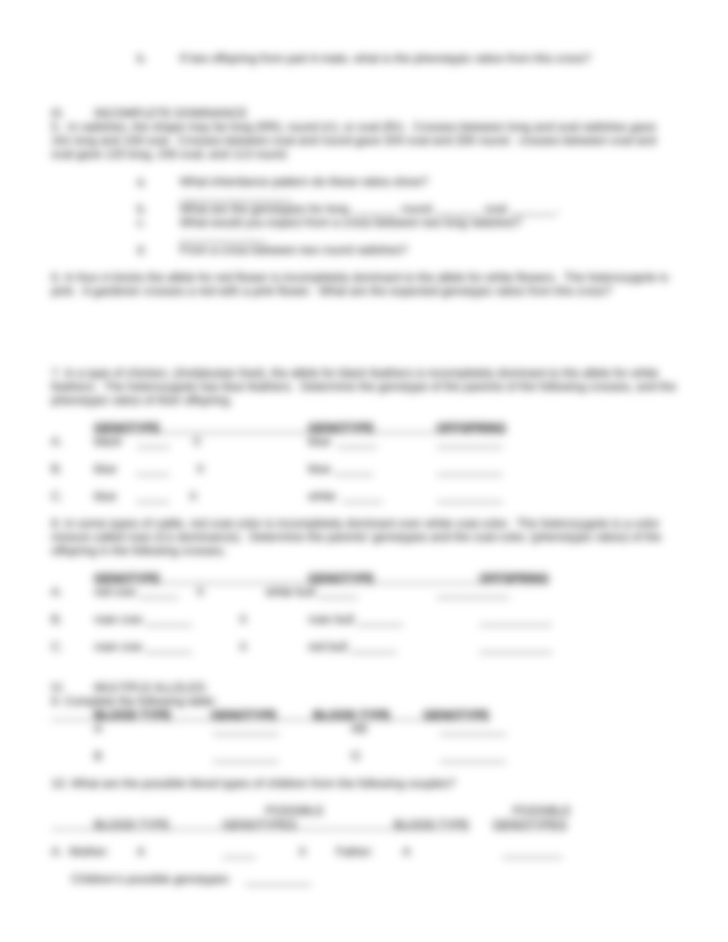 medelian genetics packet.DOC_duk9d9rm6t9_page4