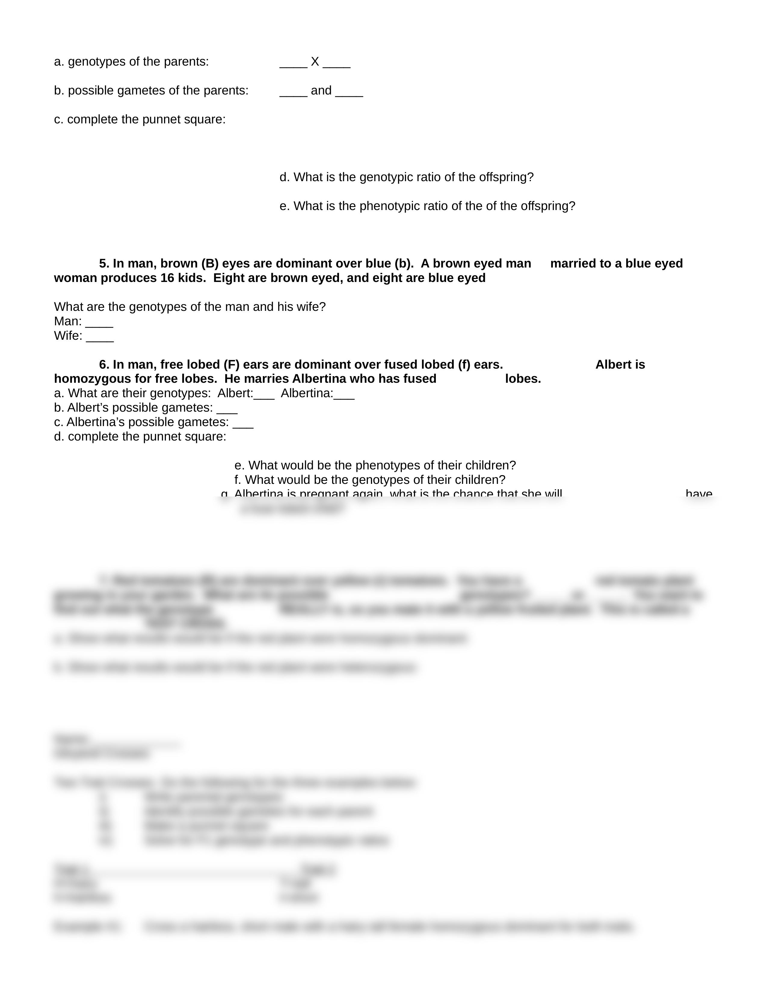 medelian genetics packet.DOC_duk9d9rm6t9_page2