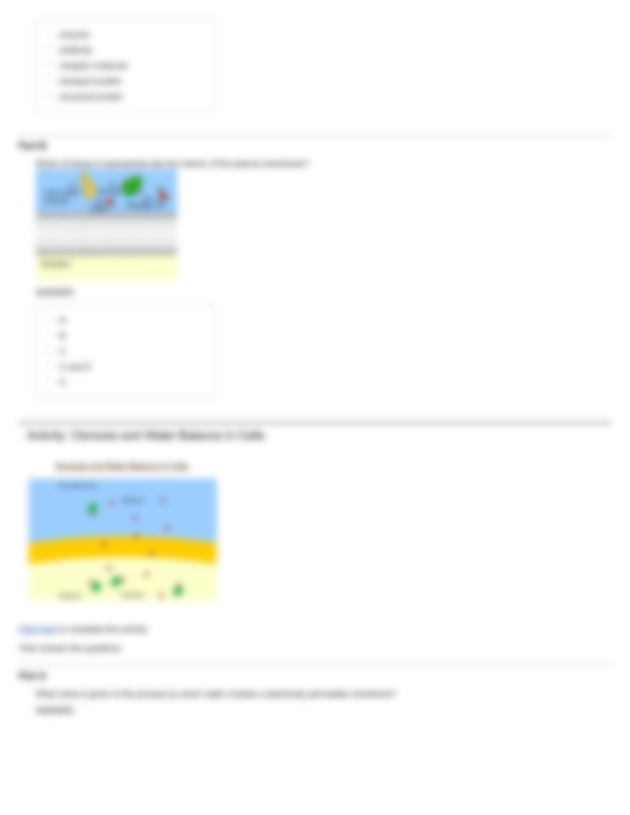 QUIZ_ Chapter 05_dus6025of75_page5