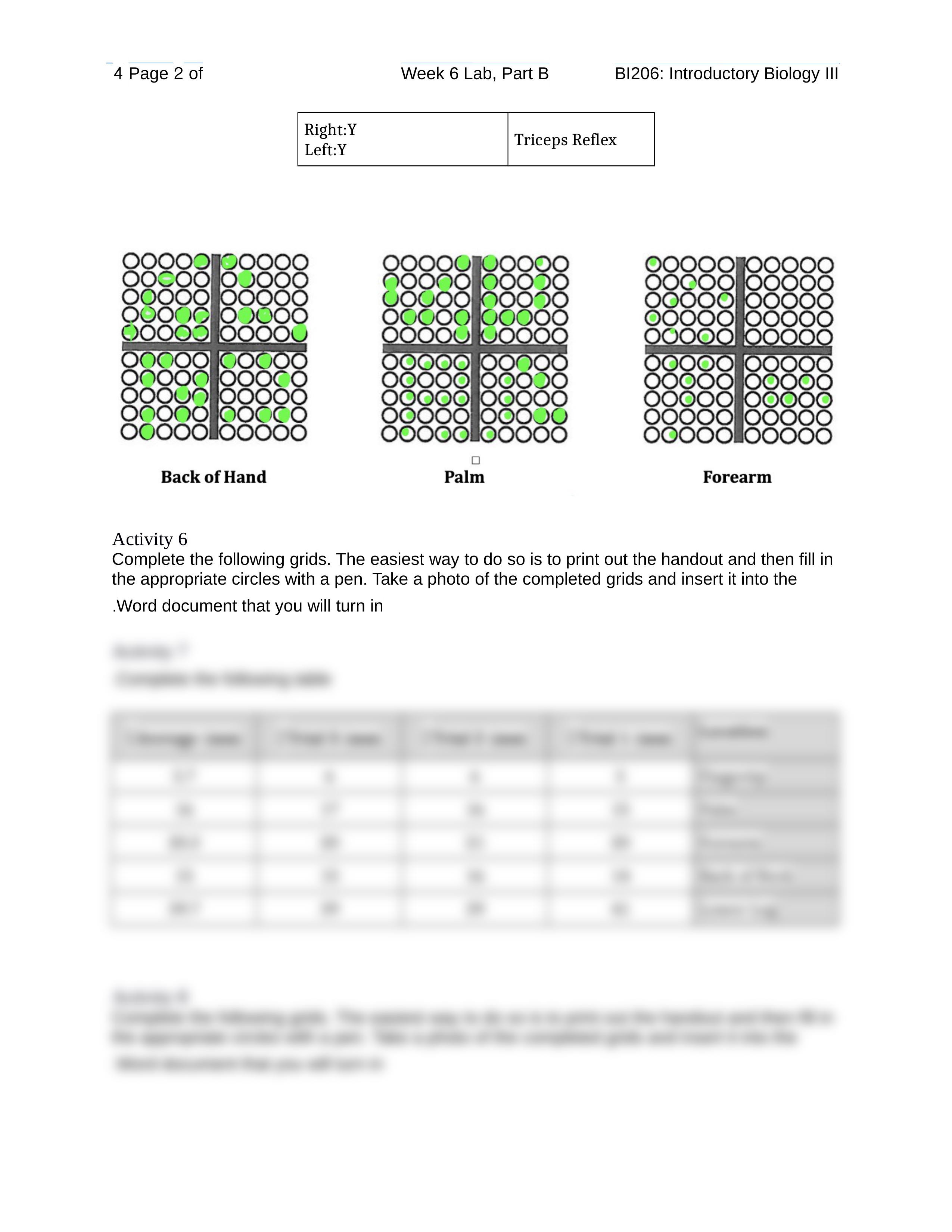 Week 6 lab part 2.docx_dus817hzkqu_page2