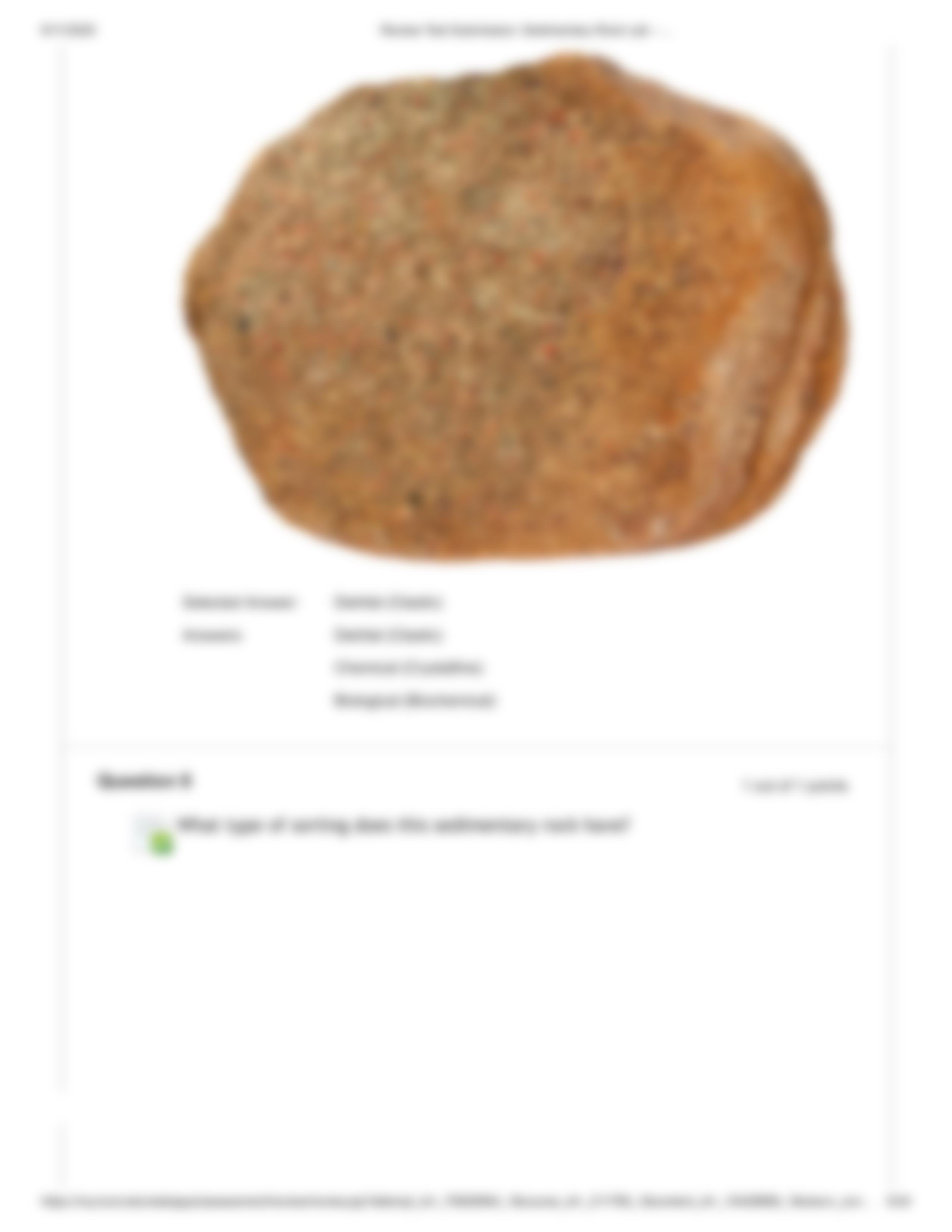 Sedimentary Rock Lab.pdf_duuc43q8iqt_page5