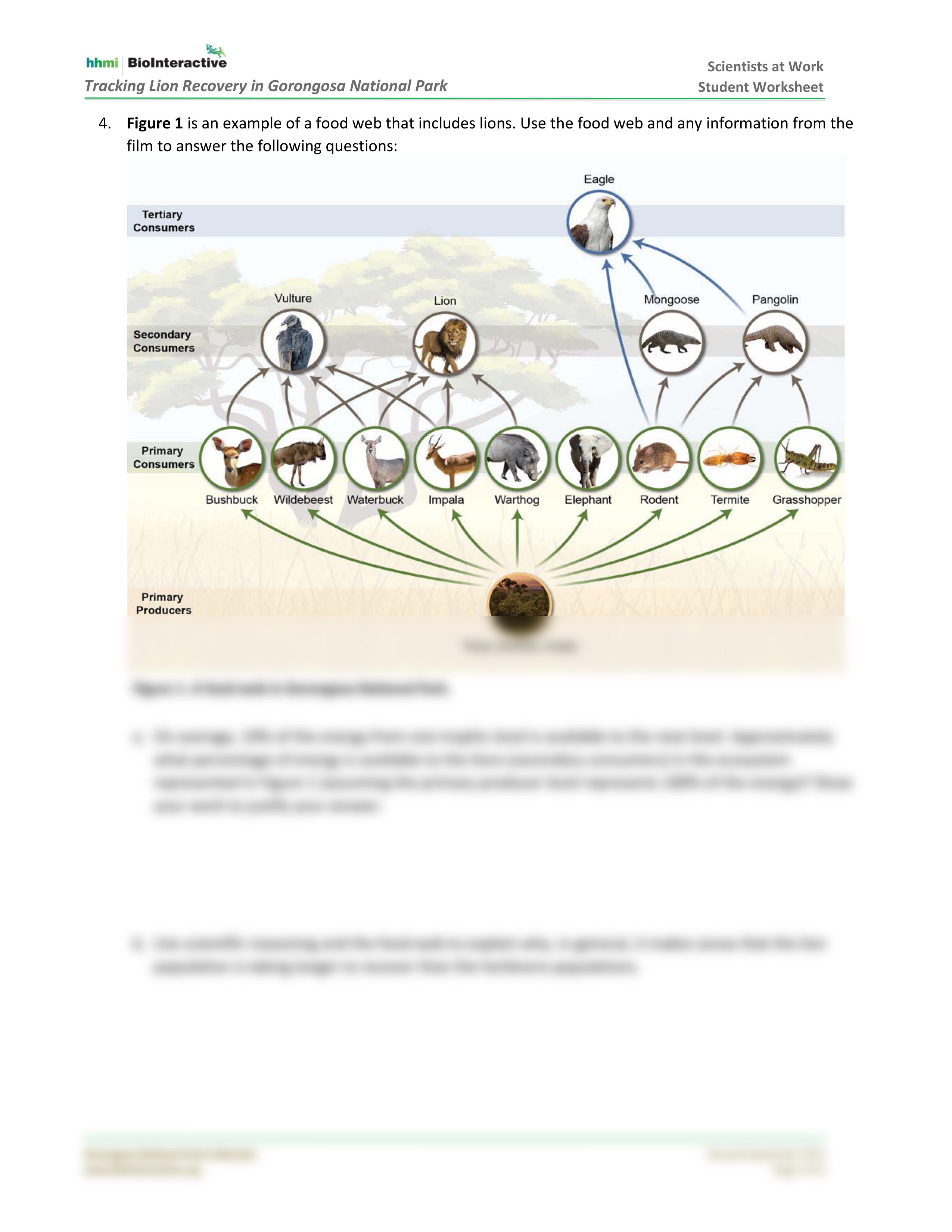 TrackingLions-StudentWS-SW.pdf_duue6bm12np_page2