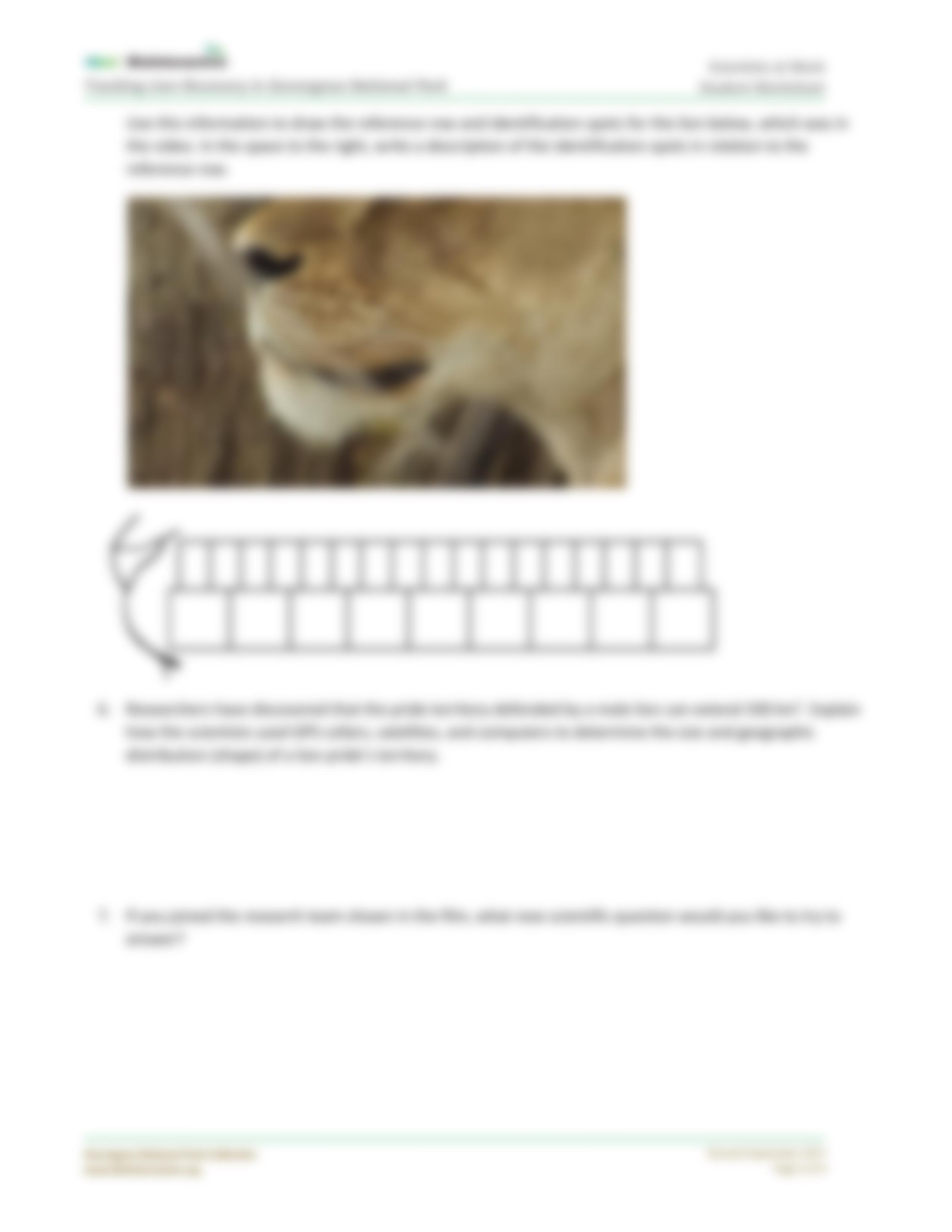 TrackingLions-StudentWS-SW.pdf_duue6bm12np_page4