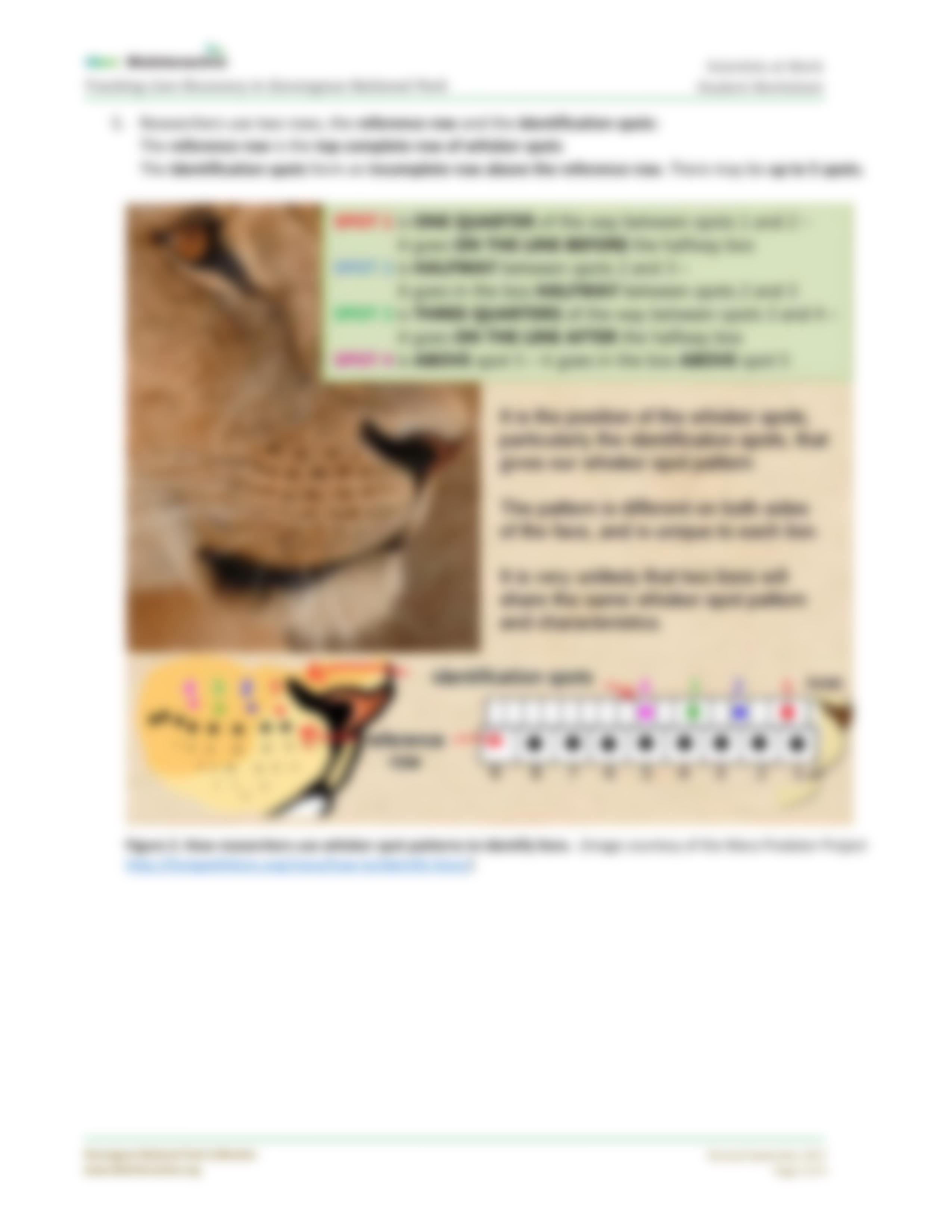 TrackingLions-StudentWS-SW.pdf_duue6bm12np_page3