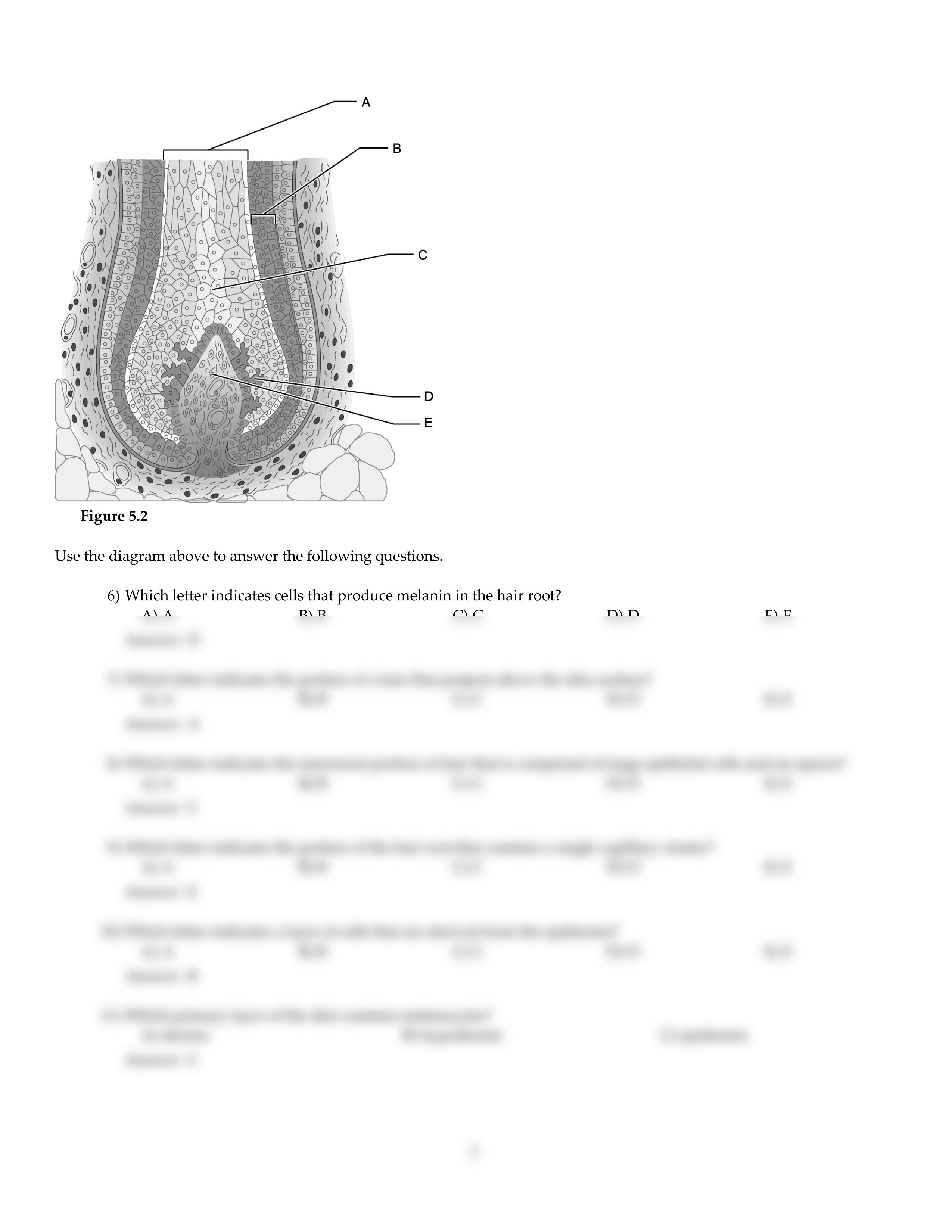 CH05.pdf_duwsq178jkz_page2