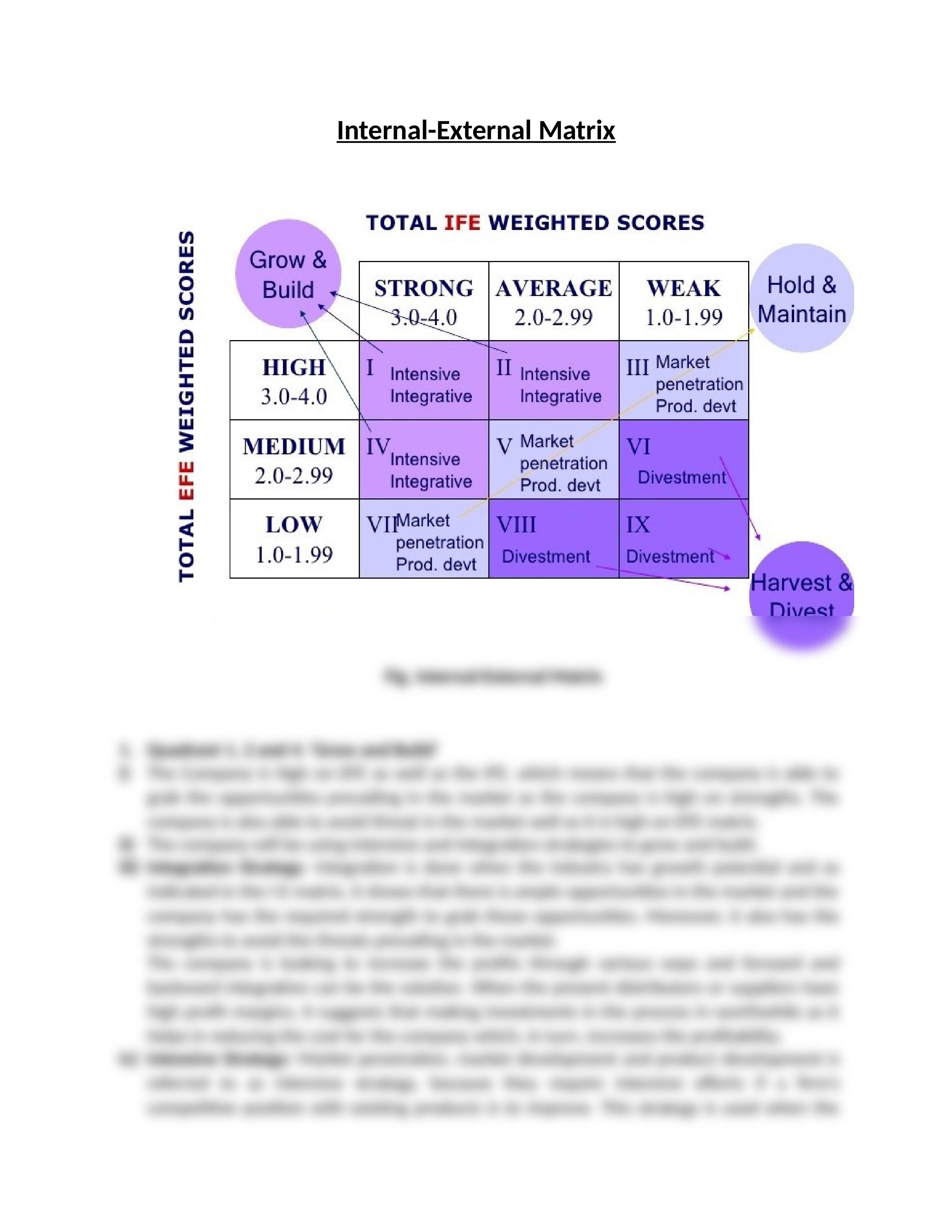 IE Matrix report.docx_duxlwpyycf0_page2