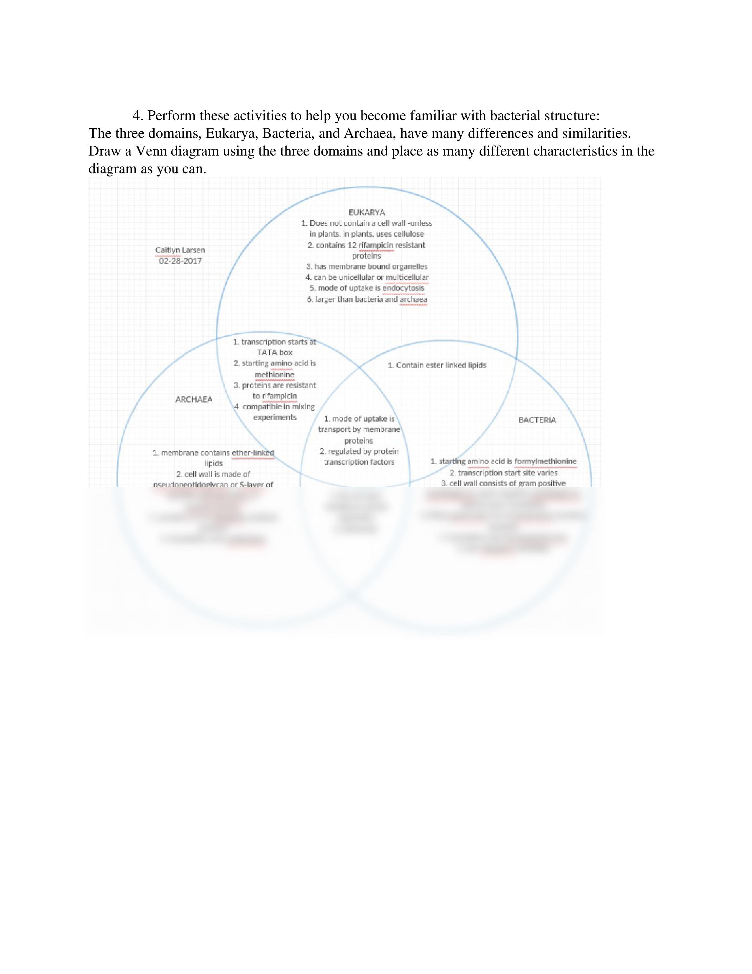 Unit 2 Activities_duzv26huuts_page2