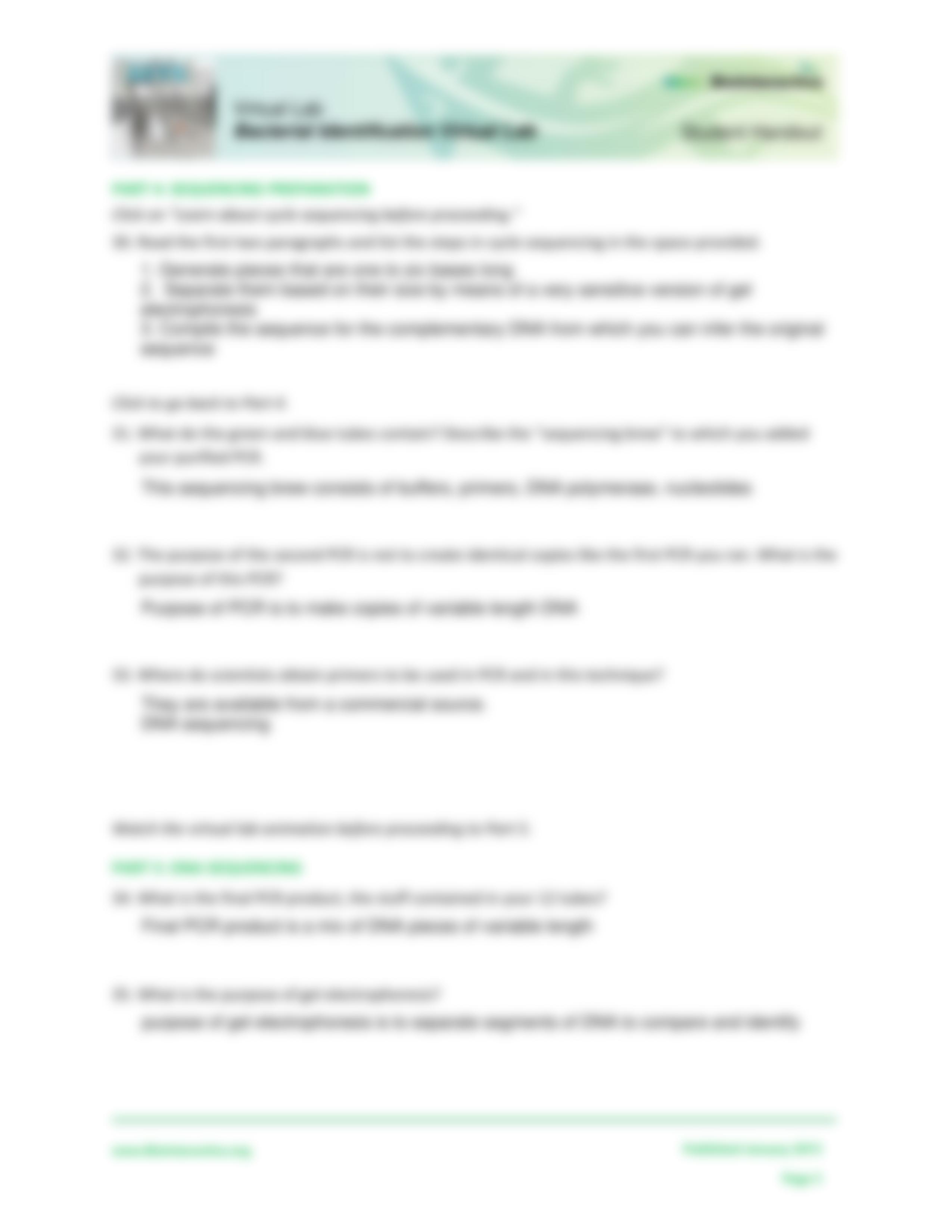 Bacterial-Identification-Lab-Worksheet.pdf_dv2c5j0lt3e_page5