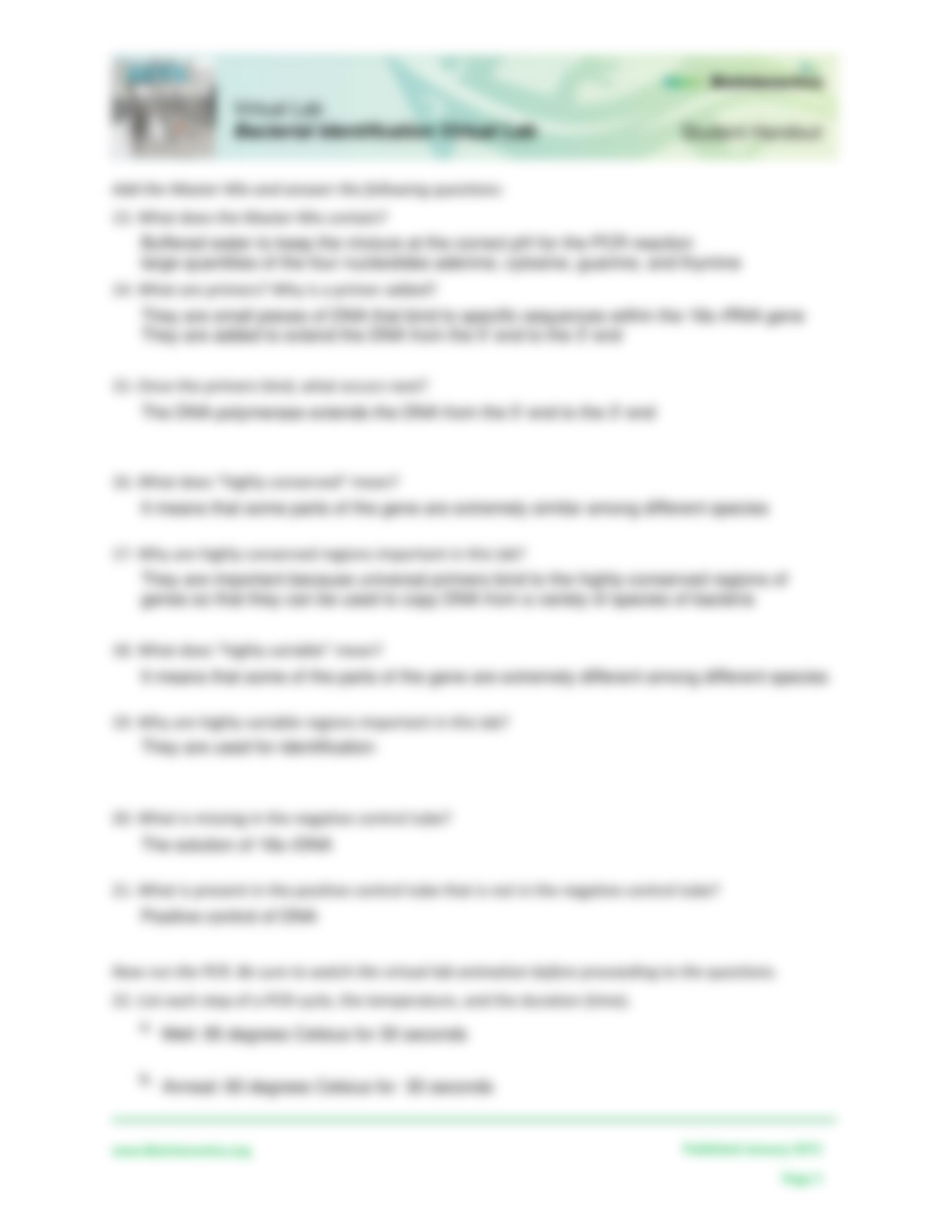 Bacterial-Identification-Lab-Worksheet.pdf_dv2c5j0lt3e_page3