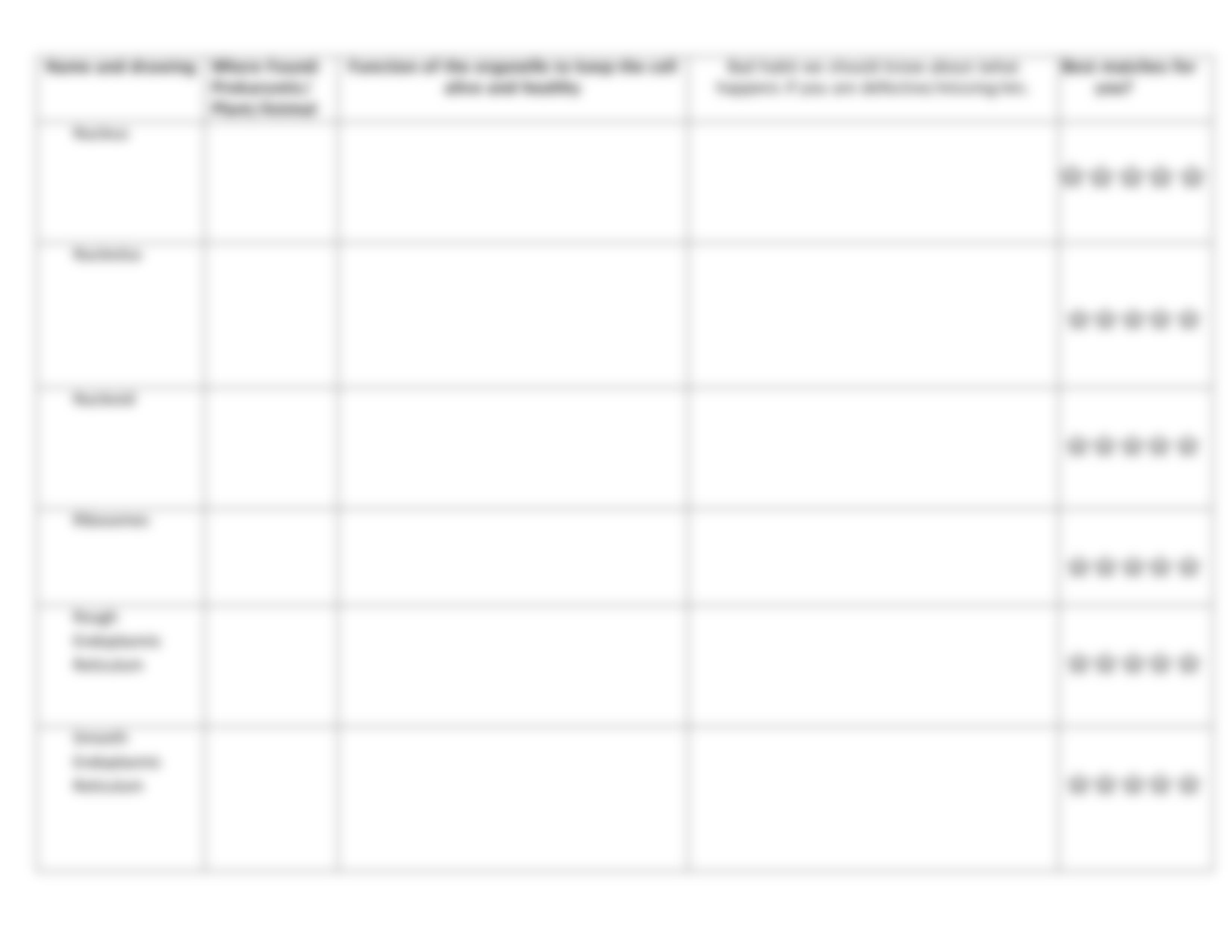 organelle_speed_dating.pdf_dv55pc4z753_page3