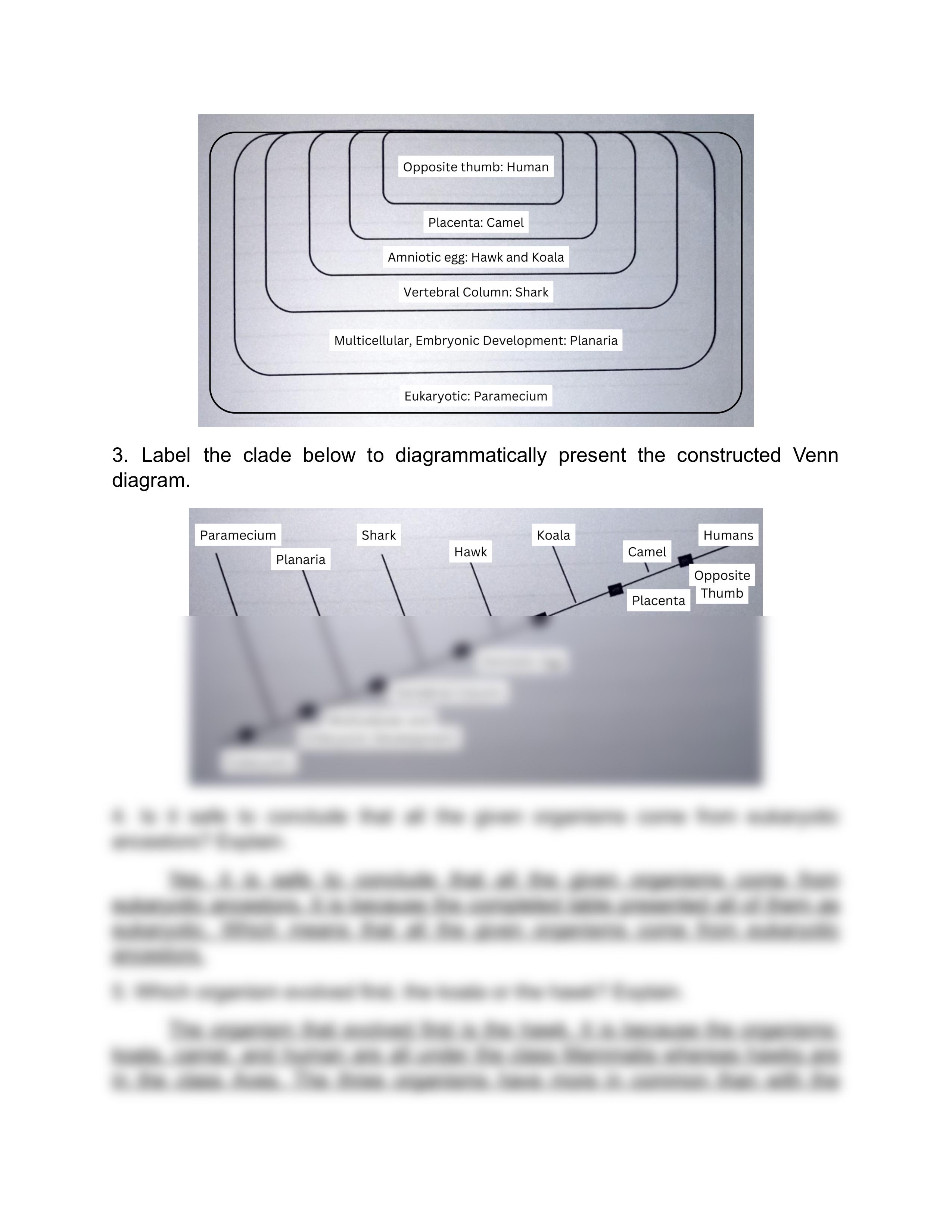 Worksheet no. 15_ Cladogram Making.docx (2).pdf_dv6m9vwgdtj_page2