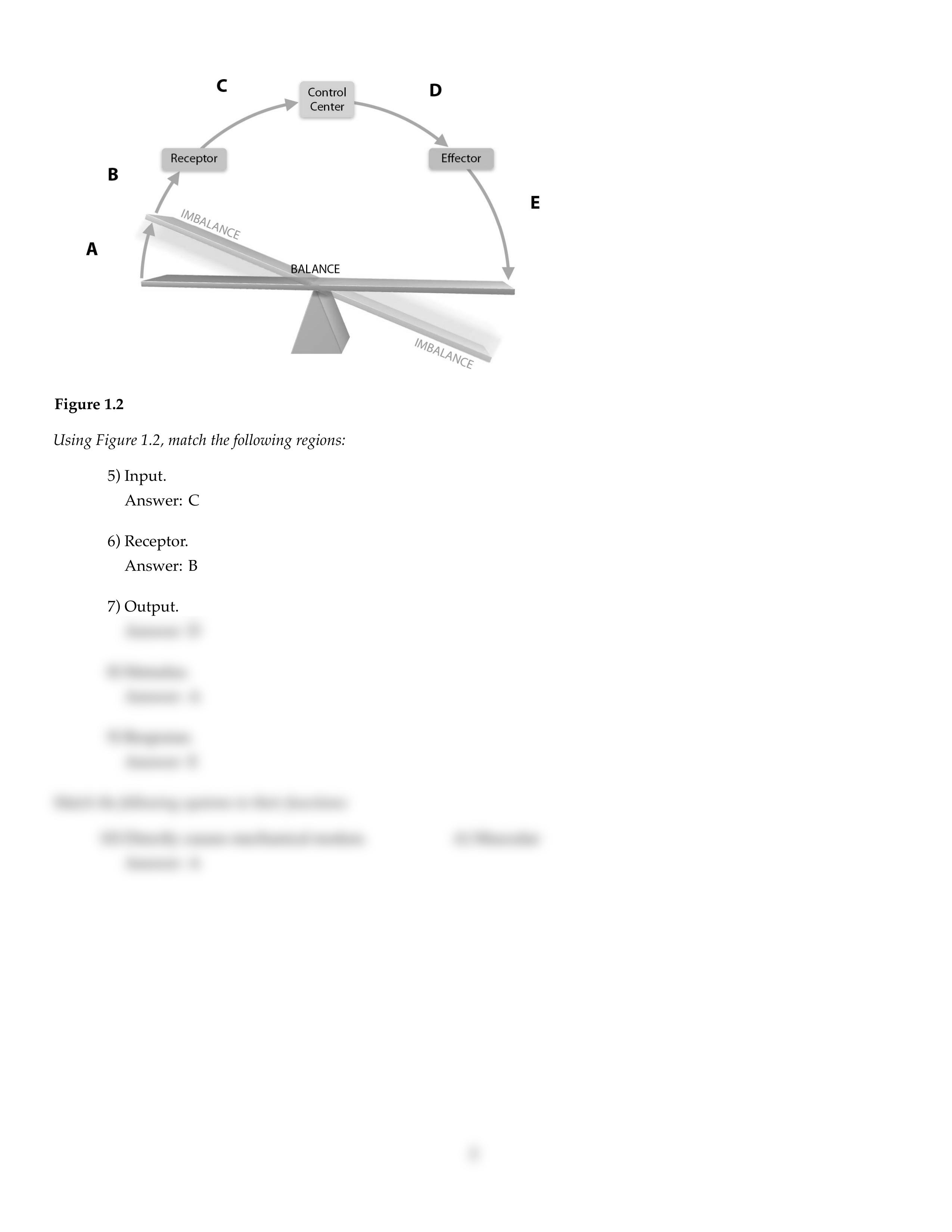 Marieb-Anatomy-and-Physiology-5e-2_dv7oqkl2bc1_page2