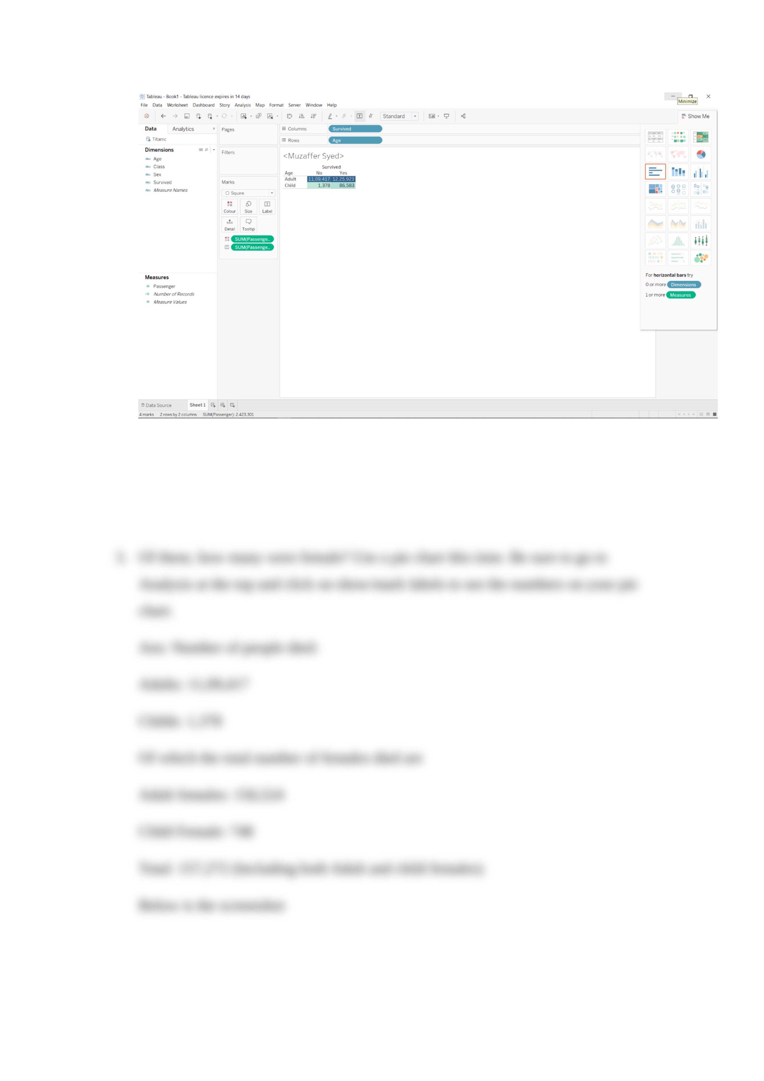 Tableau Assignment syed titanic.docx_dv7sr7x9cl4_page2