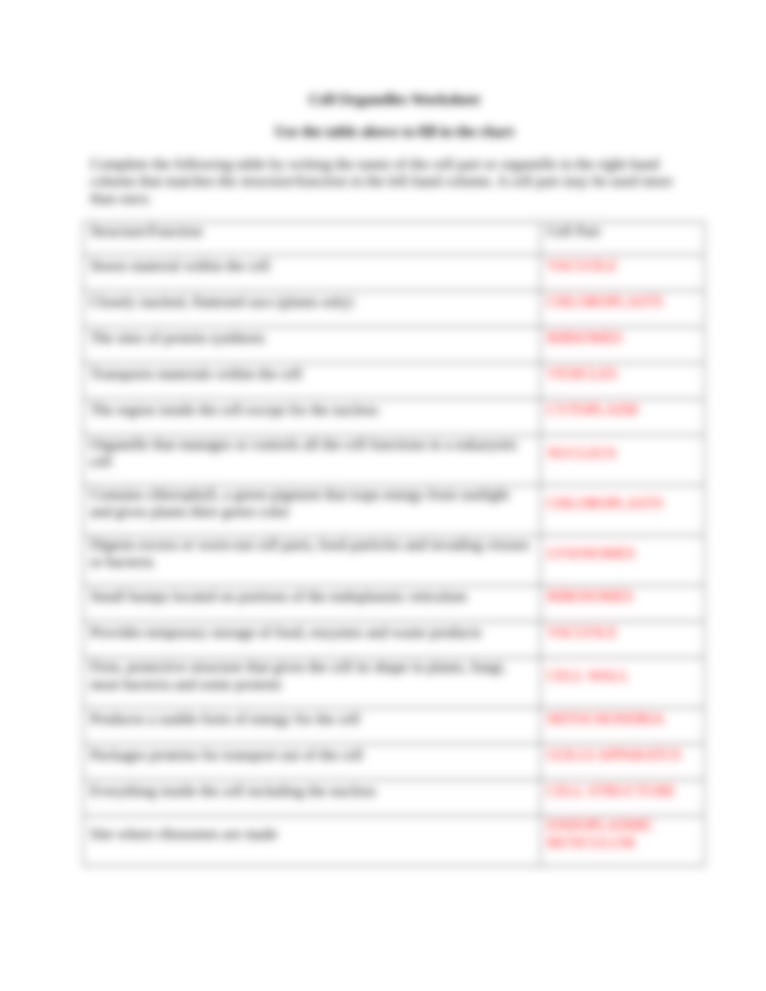 CellOrganellesWorksheet.doc_dv9pb2zsh7e_page3