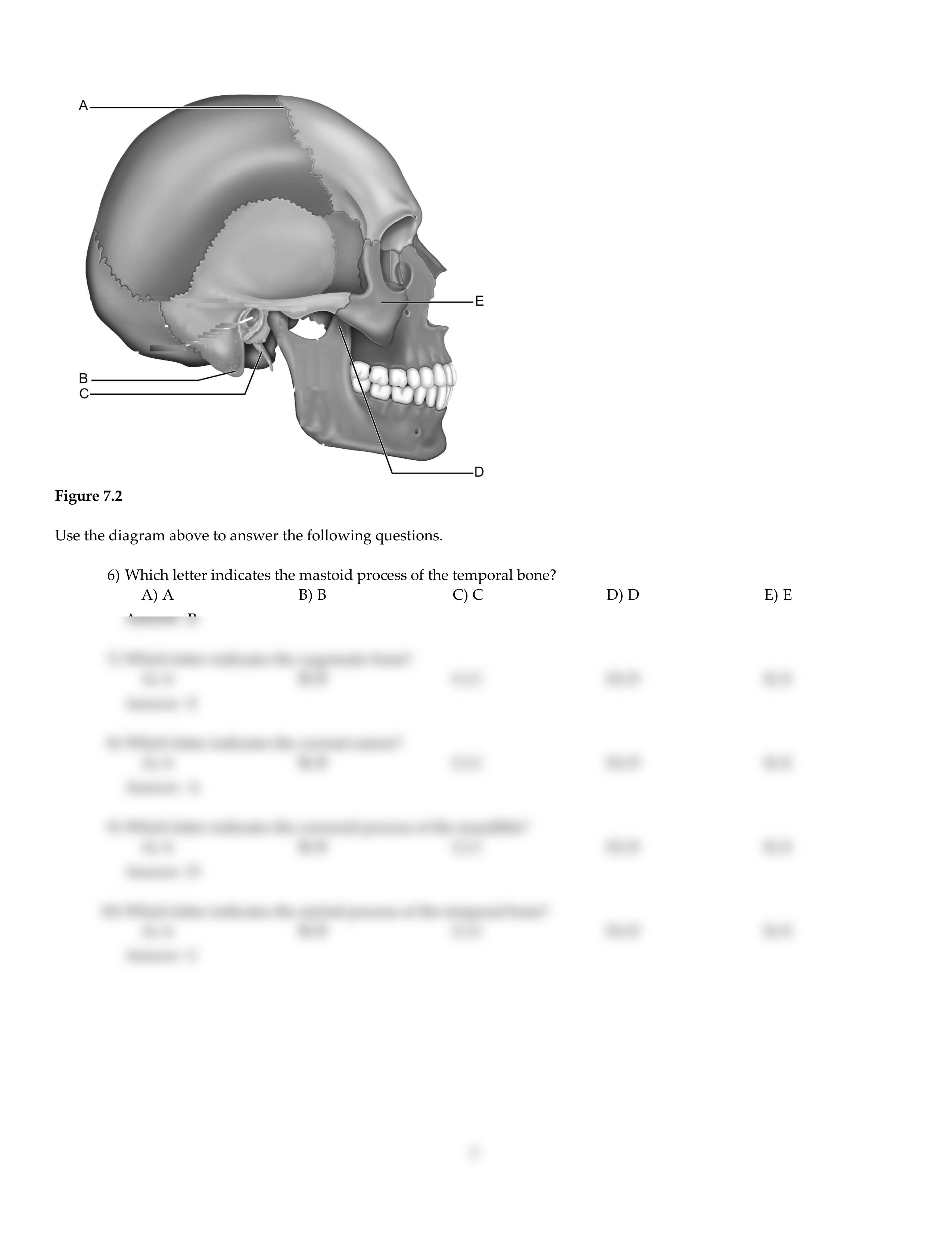 CH07.pdf_dvidu7rqqw0_page2