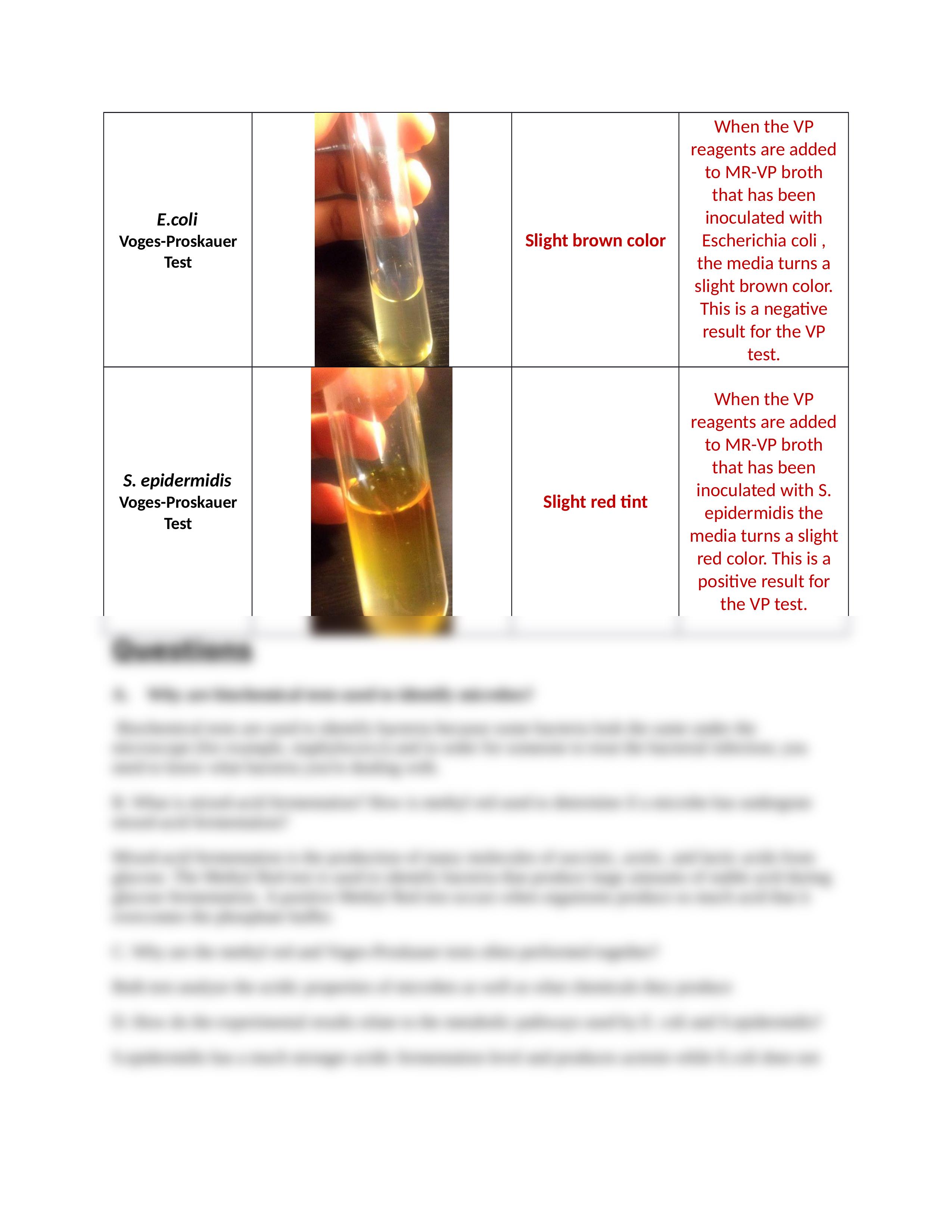 Biochemical Testing for Microbial Identification - Carbohydrate Fermenation Testing. - TMP_dvnaitm99qz_page2