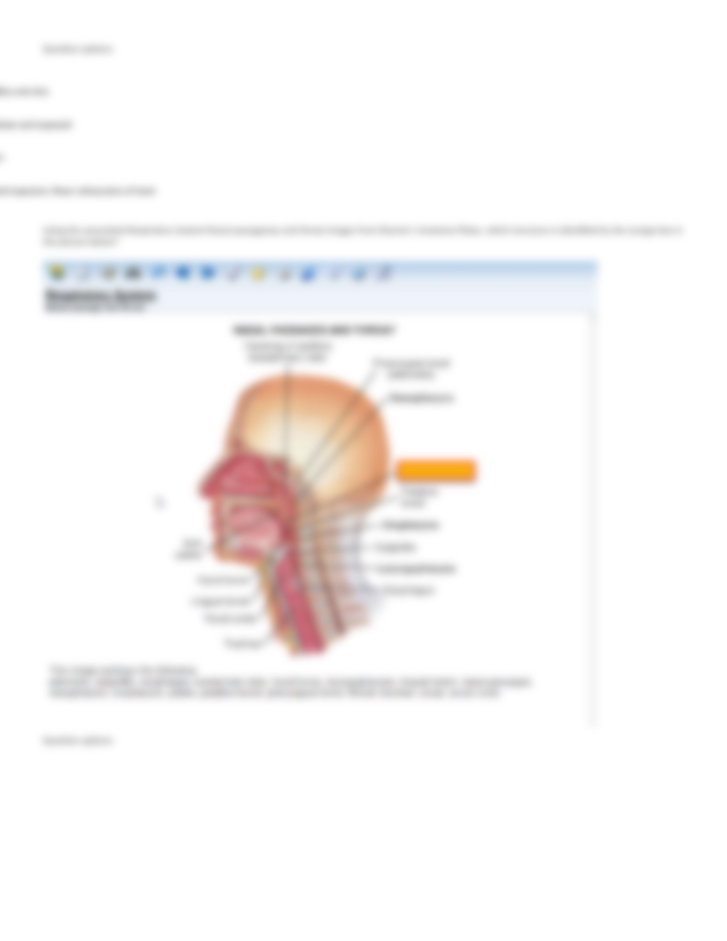 3M - CRS References quiz with answers.docx_dw8l1gak0t6_page3