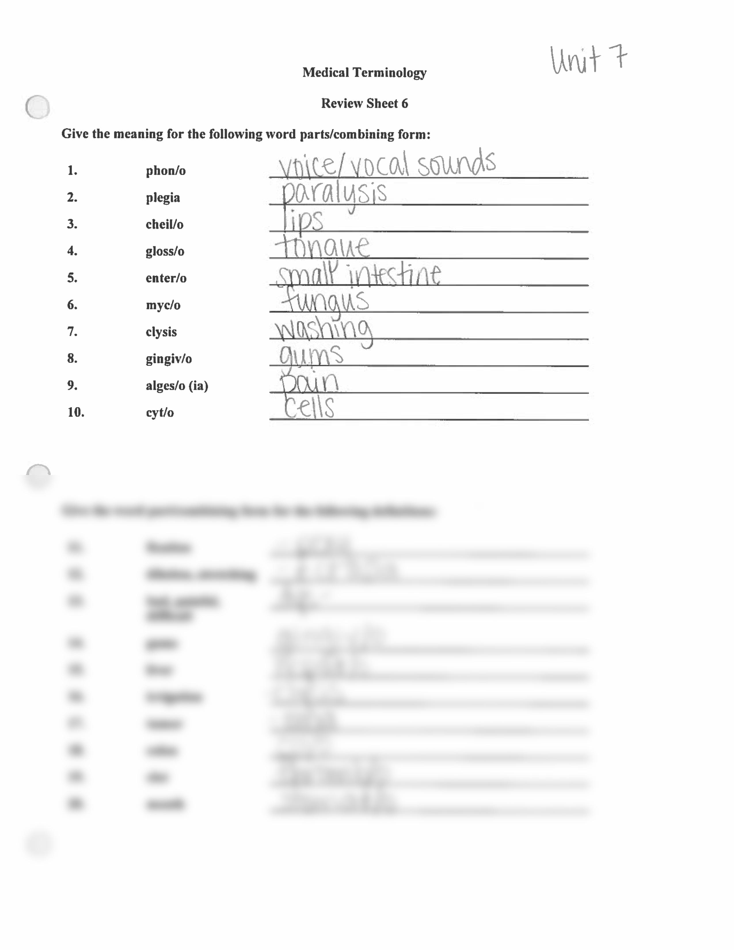 Med Term Review Sheet 6_dwfe302vzsv_page1