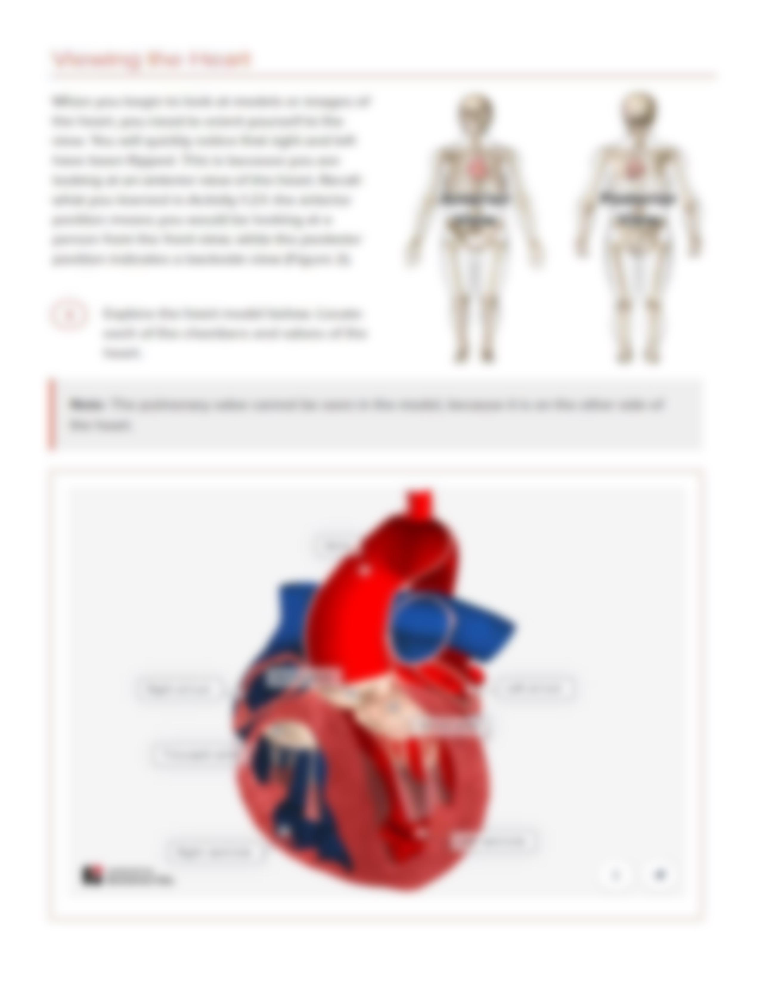 Kami Export - Brooke Moore - Brooke Moore - 1.2.5 Gross Anatomy Examination MODIFIED.pdf_dwgaenwwzd7_page3