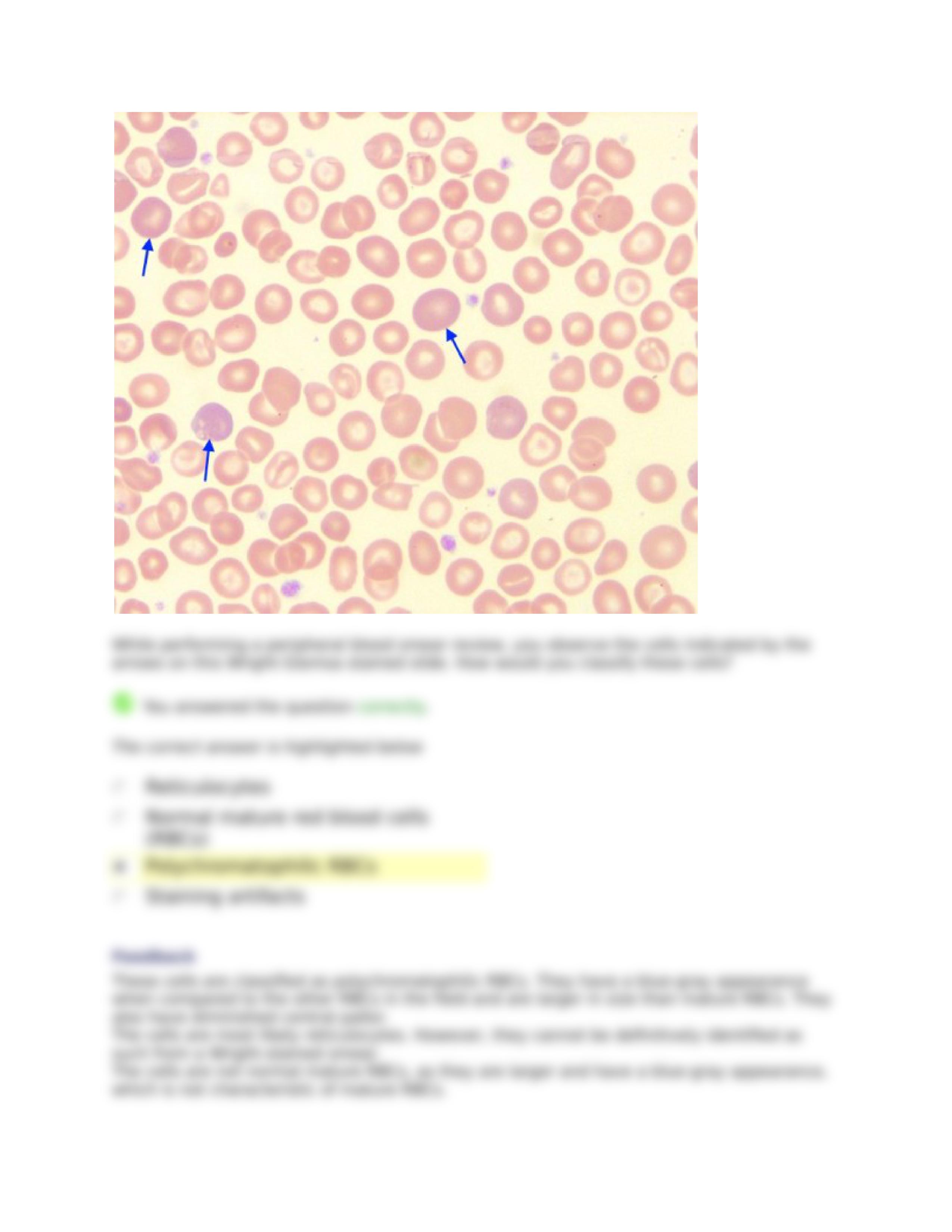 Erythrocyte Inclusions.docx_dwmbetl3a43_page2