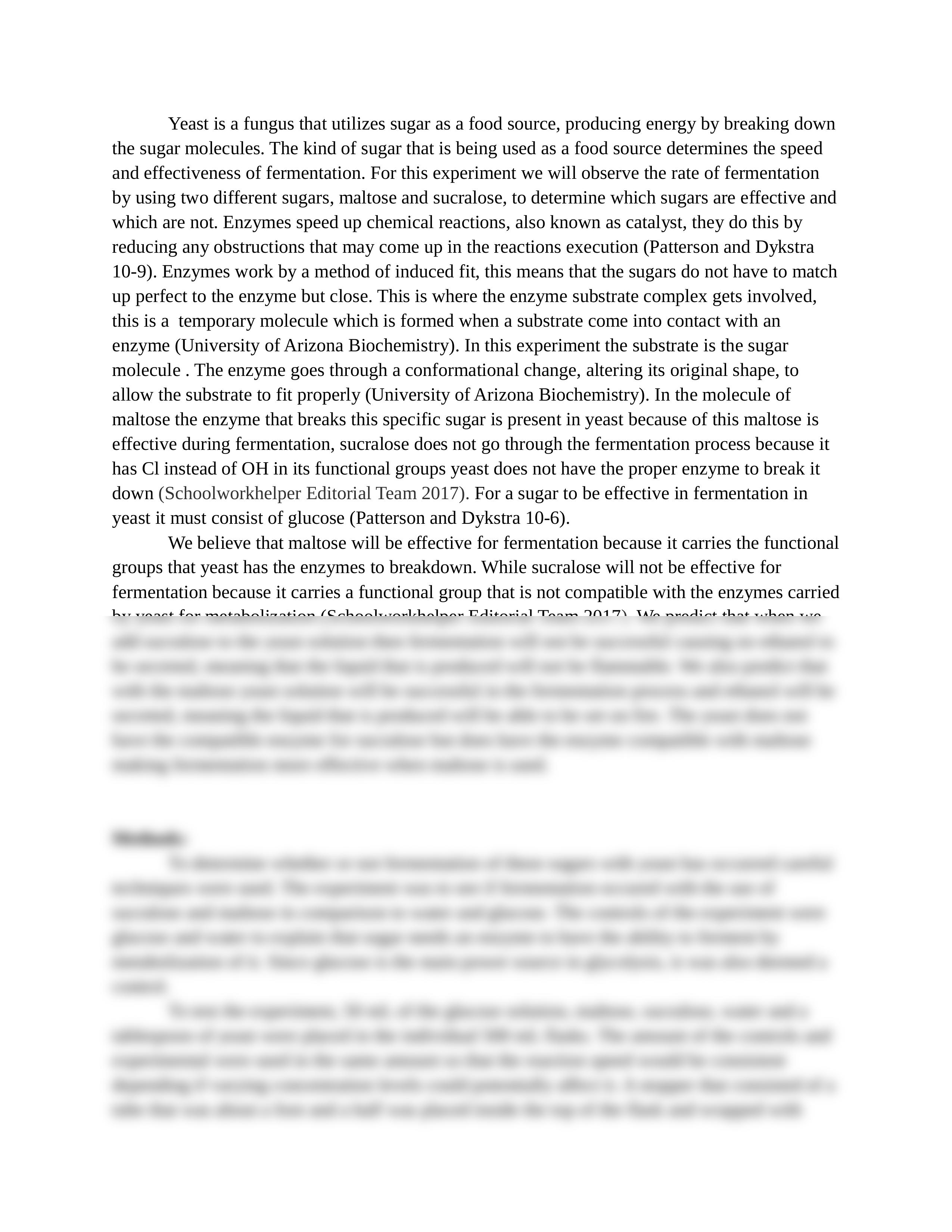 Fermentation Lab Report - FINAL Version  (1).docx_dwnx1zvow4e_page2