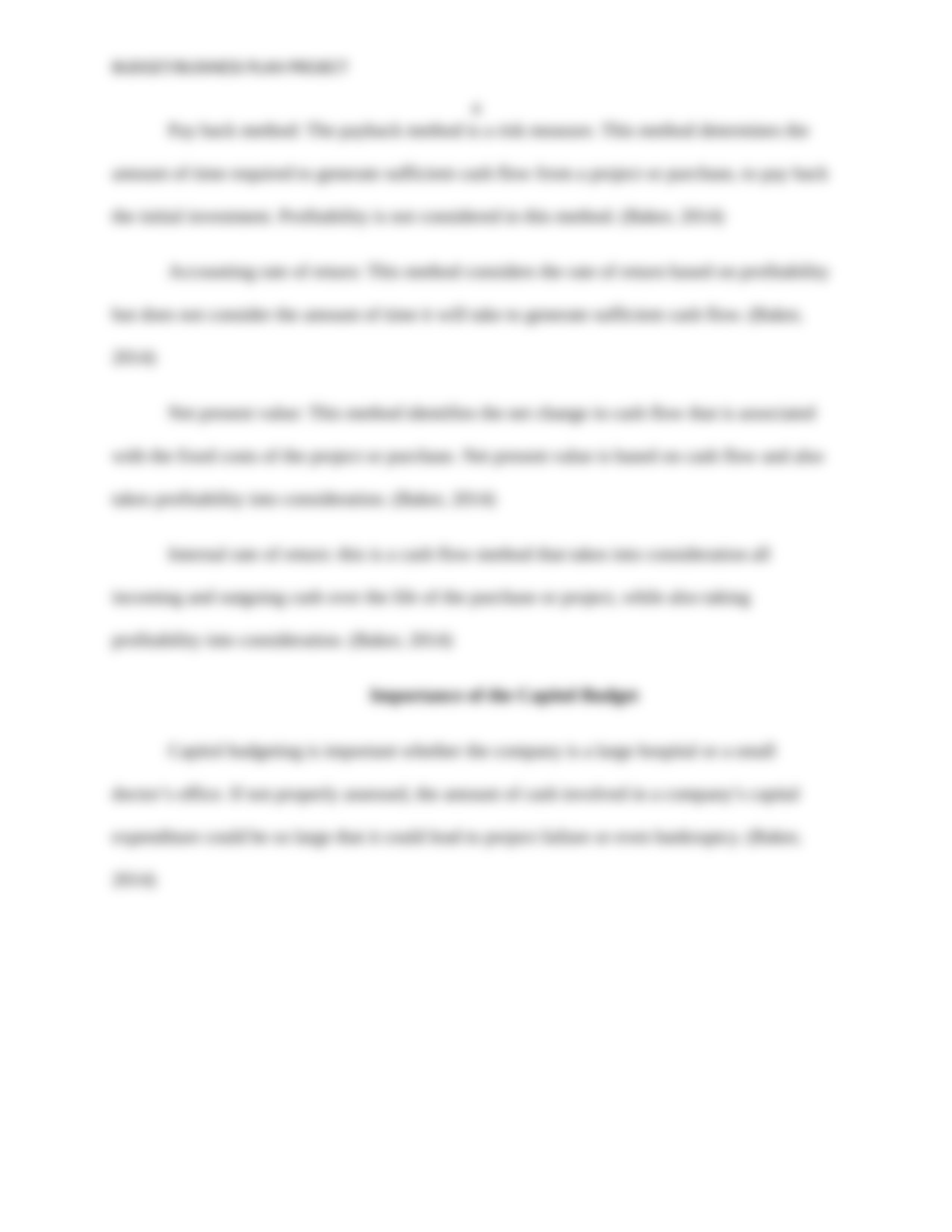 Budget:Business Plan Project.docx_dwpazcg3ox4_page4