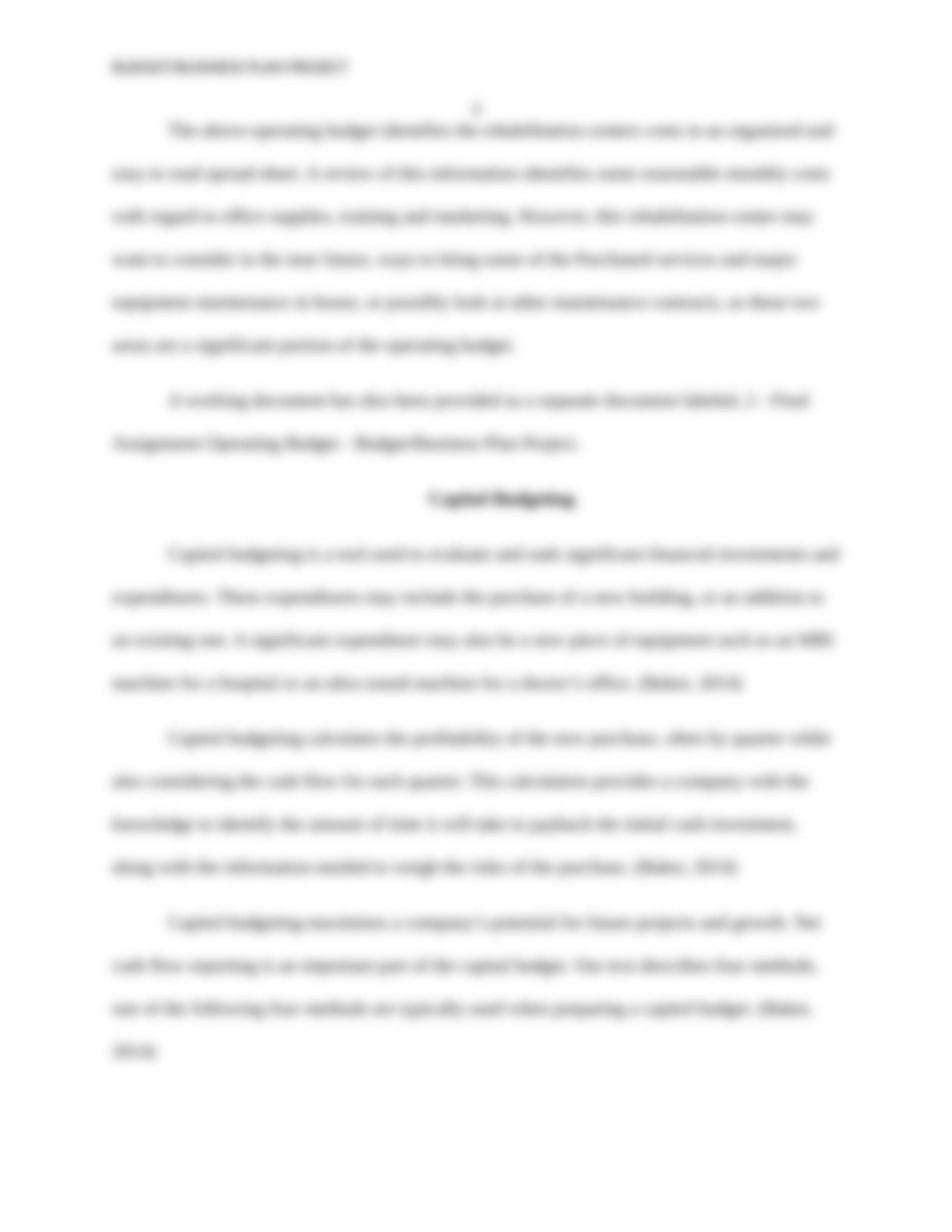 Budget:Business Plan Project.docx_dwpazcg3ox4_page3