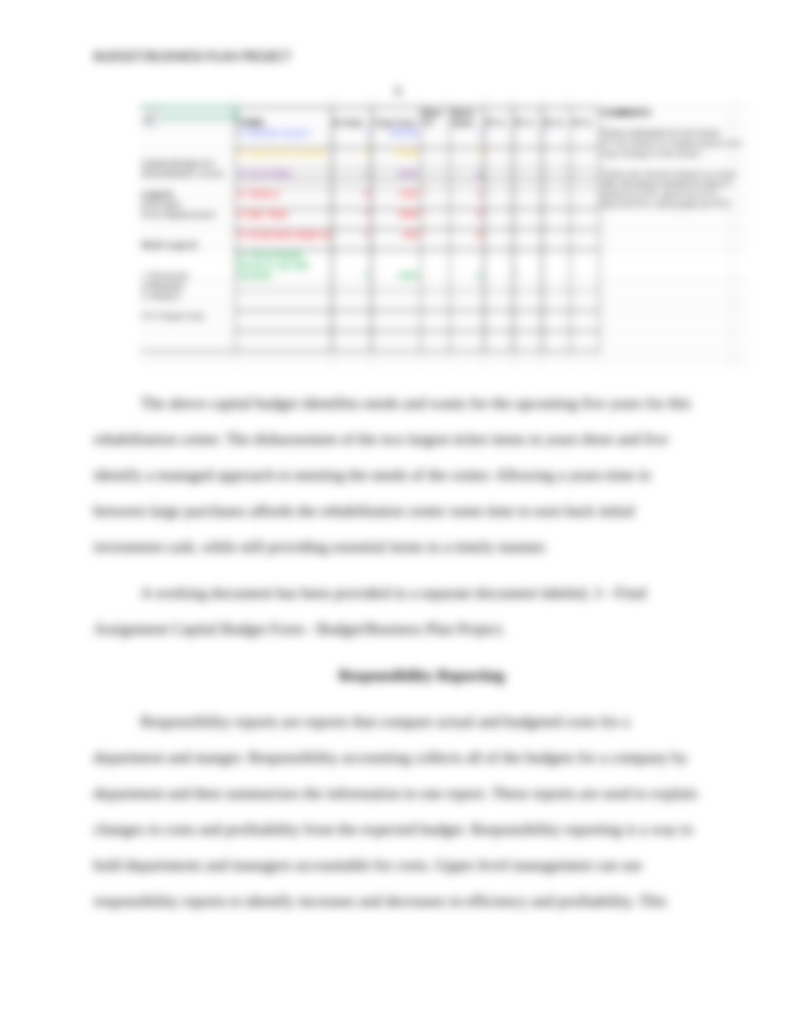 Budget:Business Plan Project.docx_dwpazcg3ox4_page5