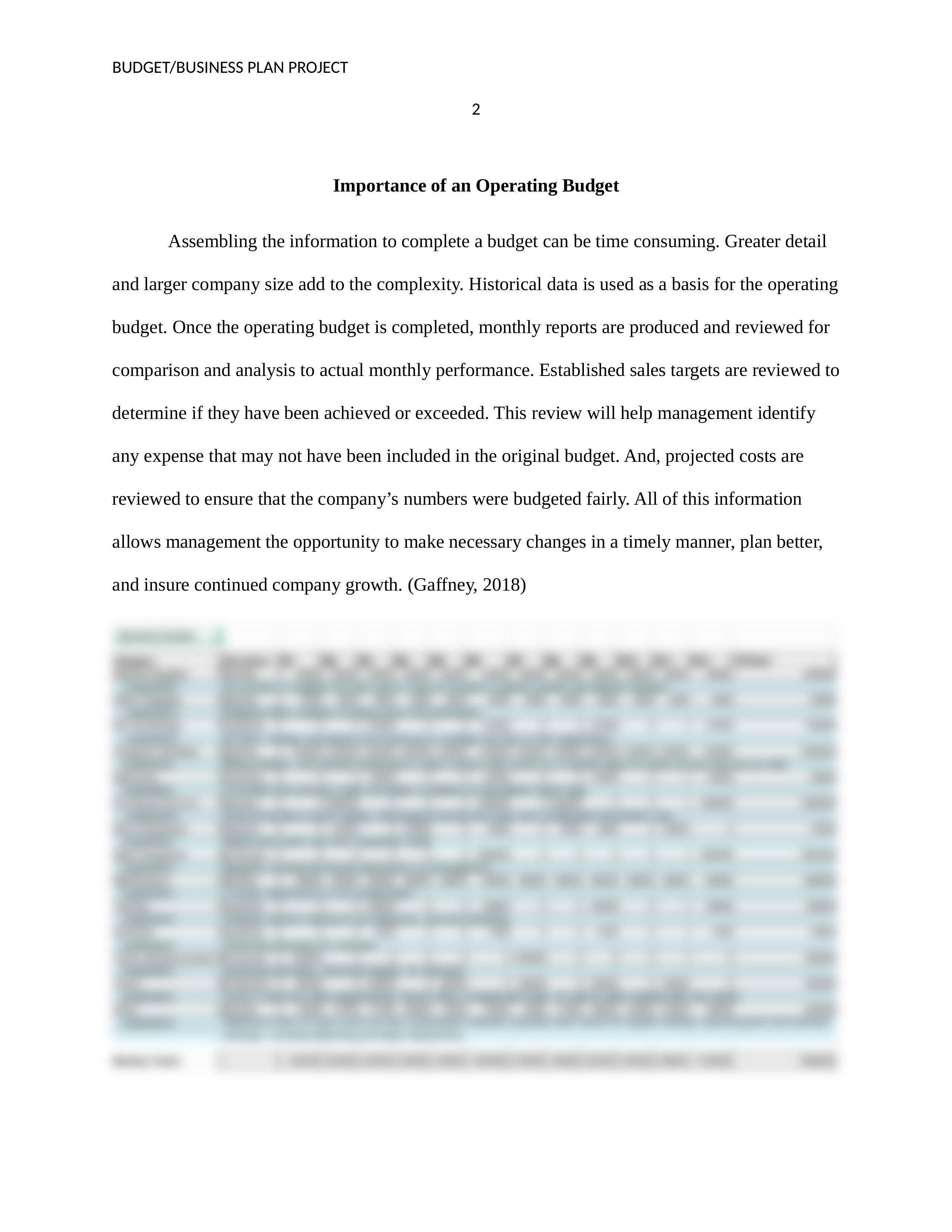 Budget:Business Plan Project.docx_dwpazcg3ox4_page2