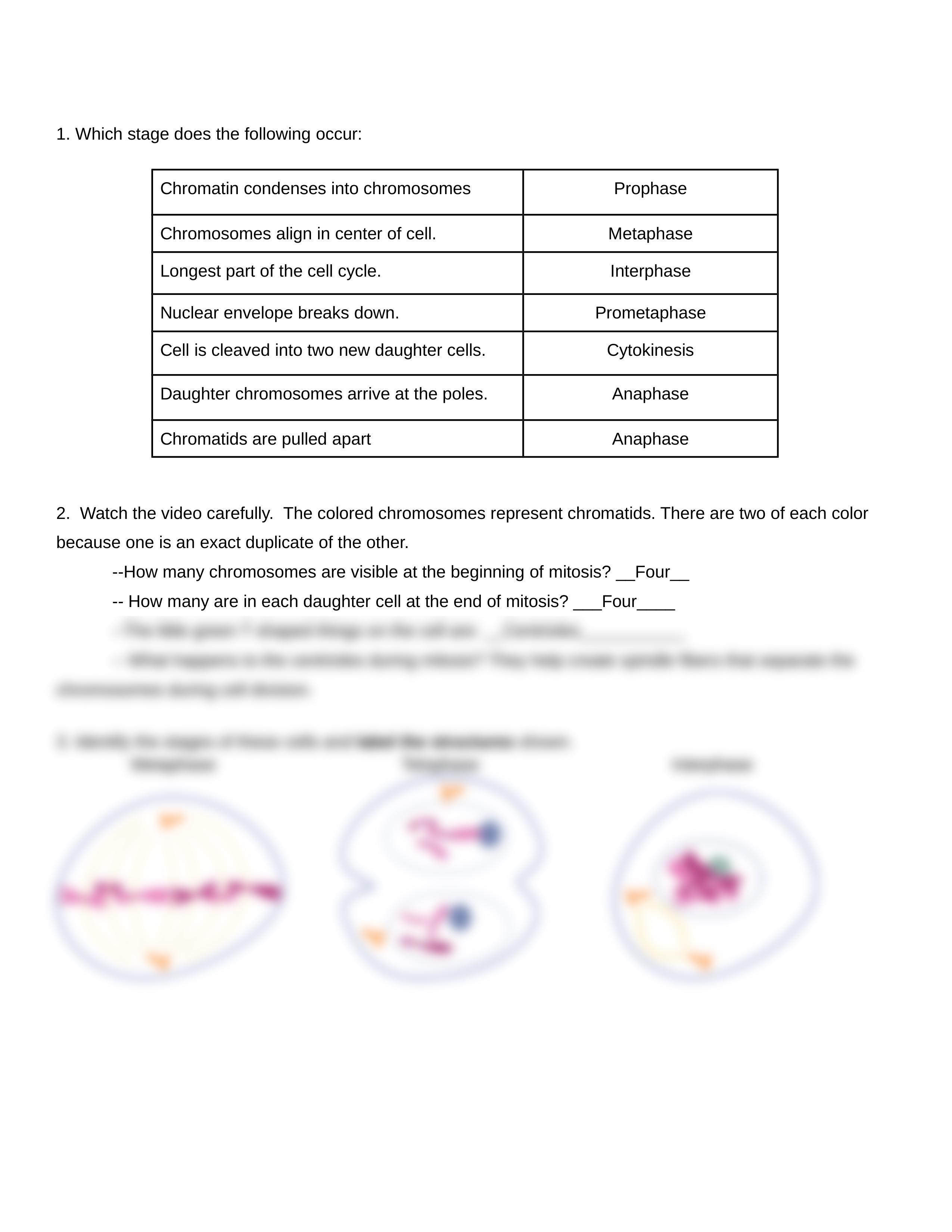 Mitosis_Lab_Complete.doc_dwu2x2pwrvc_page2