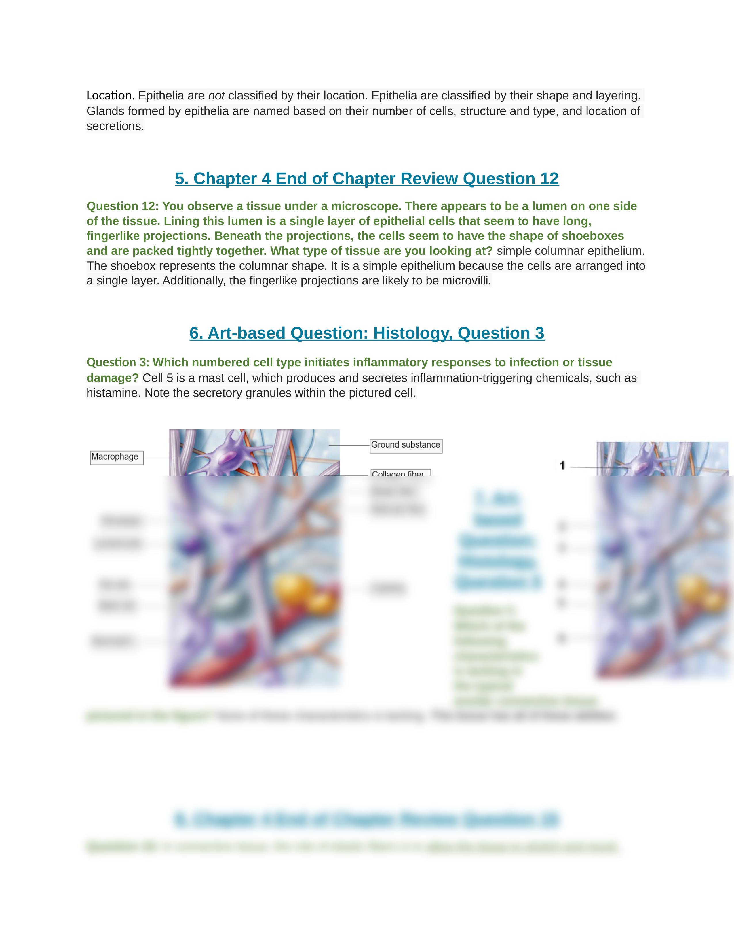 Chapter 4 Quiz Kerris.docx_dx4xjaucrkx_page2