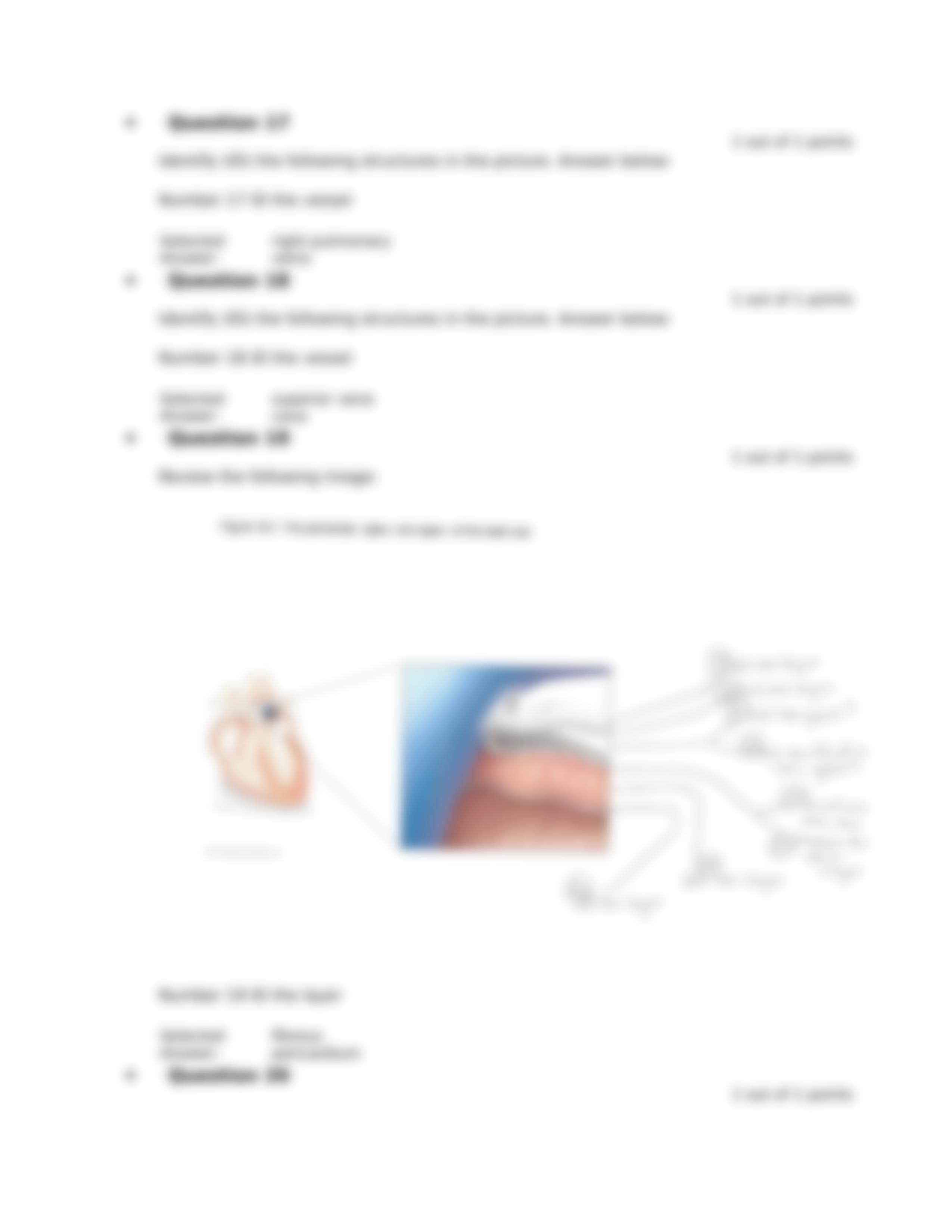 msci510quiz3.docx_dx5ffgn39u8_page4