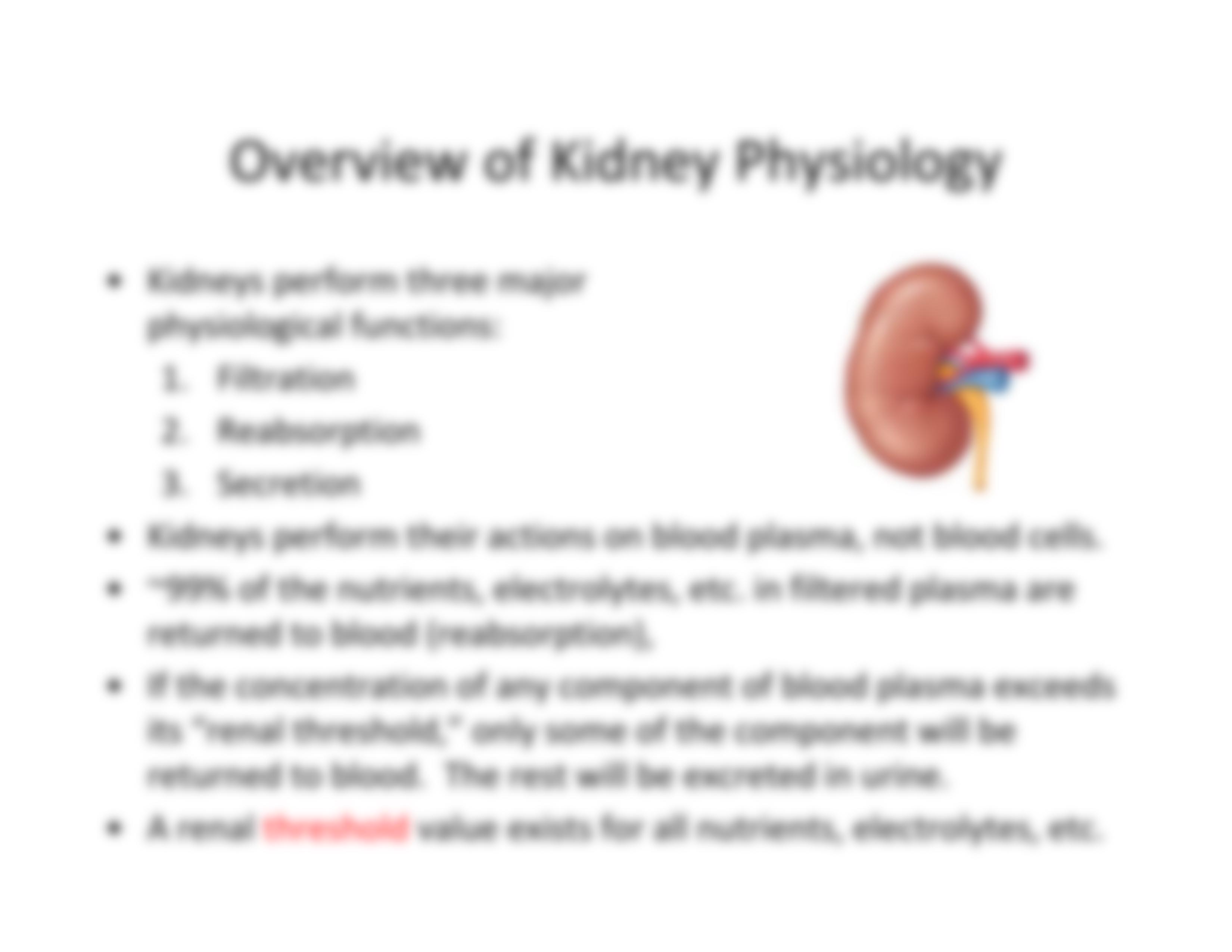 20164_psio202 Lecture 29  Handout_dxi22p1jaka_page5