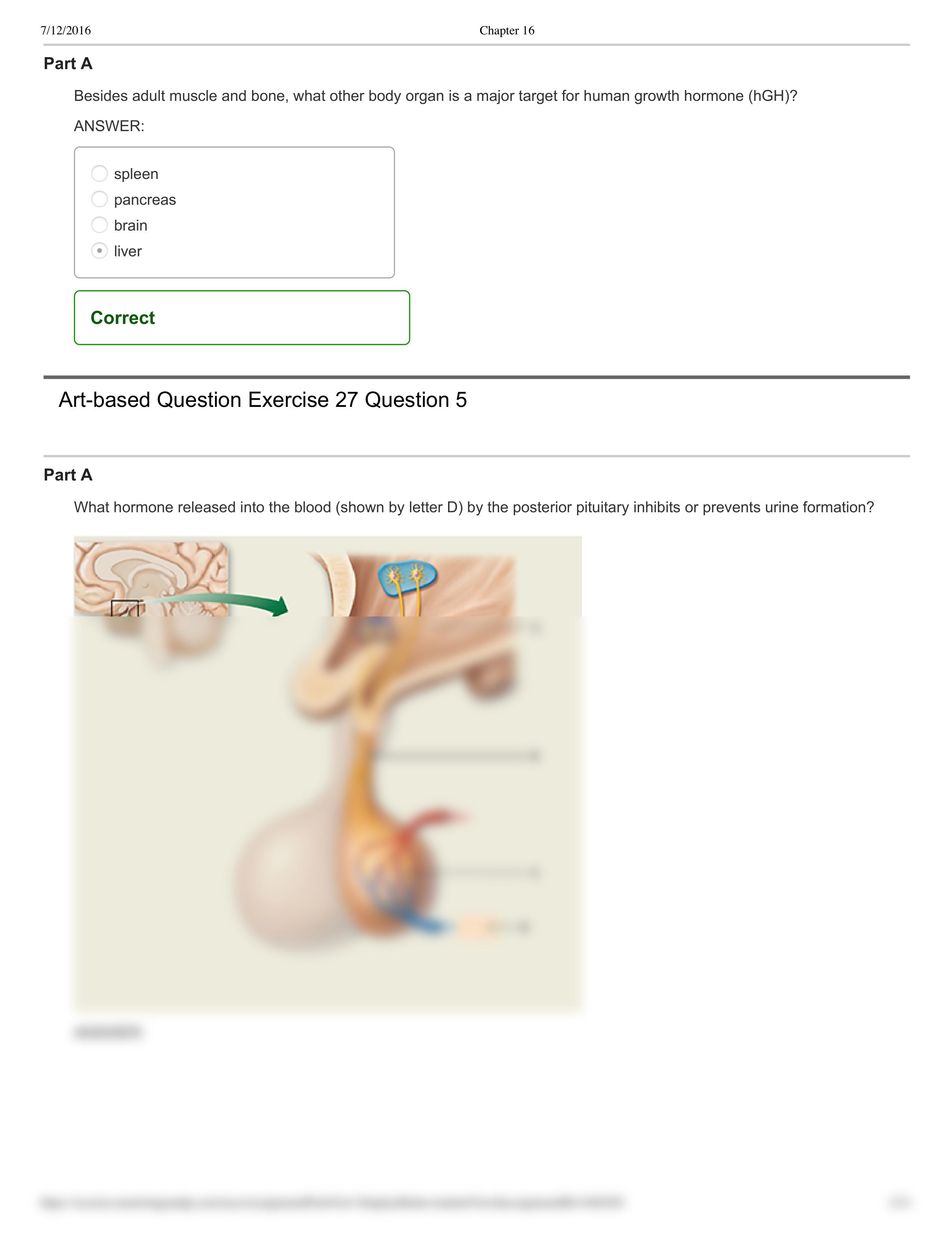 Lab - Chapter 16_dxj4l4mmdtm_page2