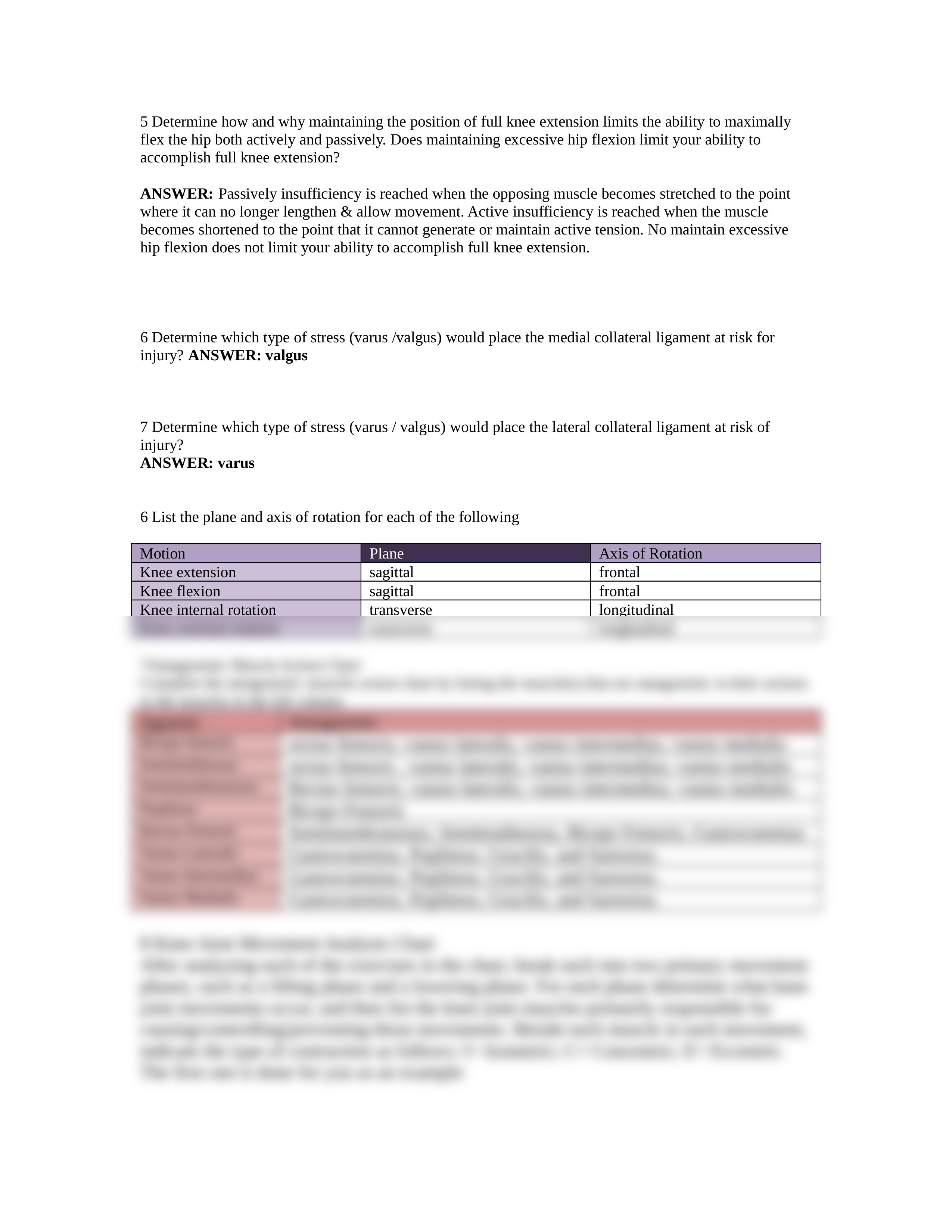 Lab 2 knee 2016_dxjxsyvixwn_page2