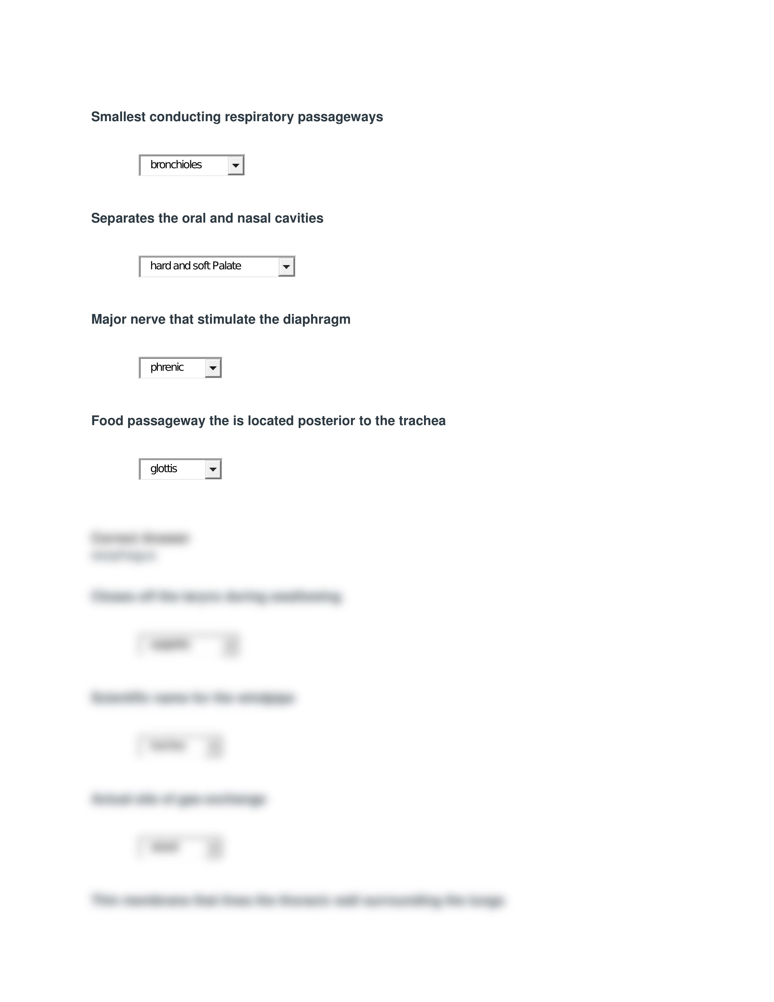 Ch 13 Respiratory System Study Guide.docx_dxp8tqkbedz_page2