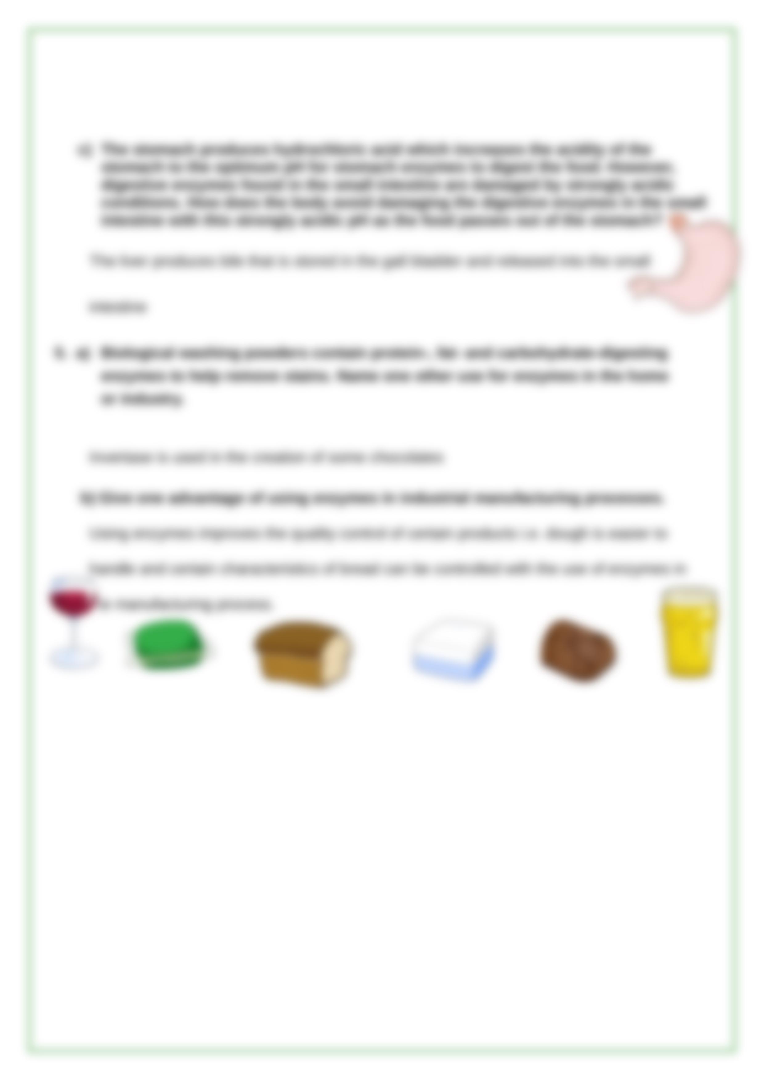 Enzymes Worksheet_dxvajhv3hst_page4