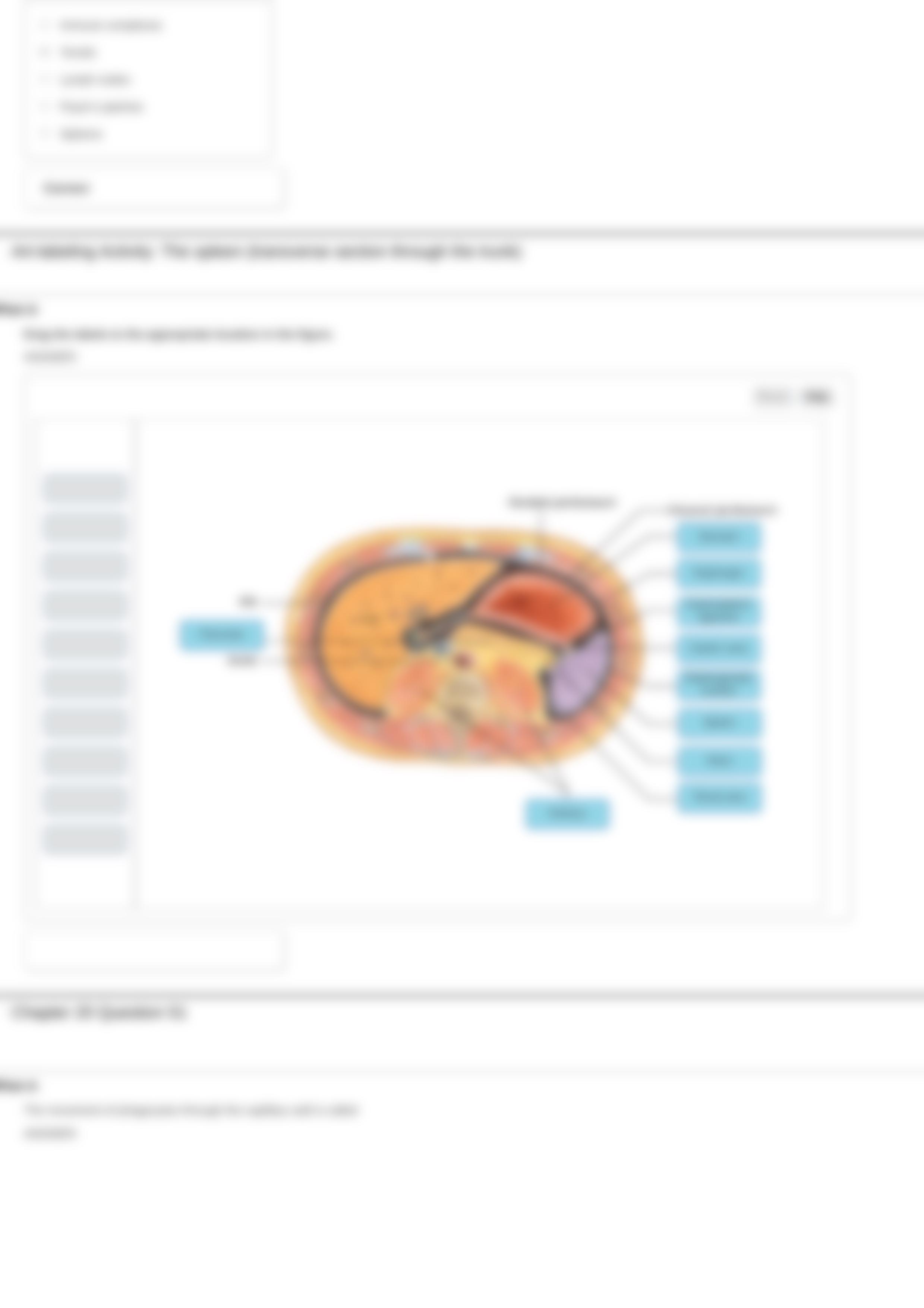 Lc 14 HW.pdf_dxvawaz5ab0_page3